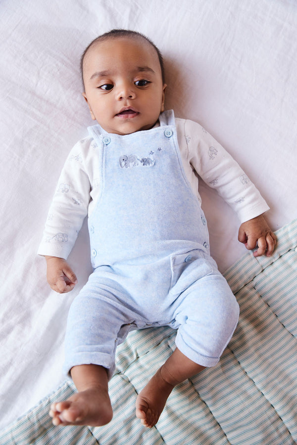 Blue Elephant Velour Baby Dungarees And Bodysuit Set (0mths-2yrs)