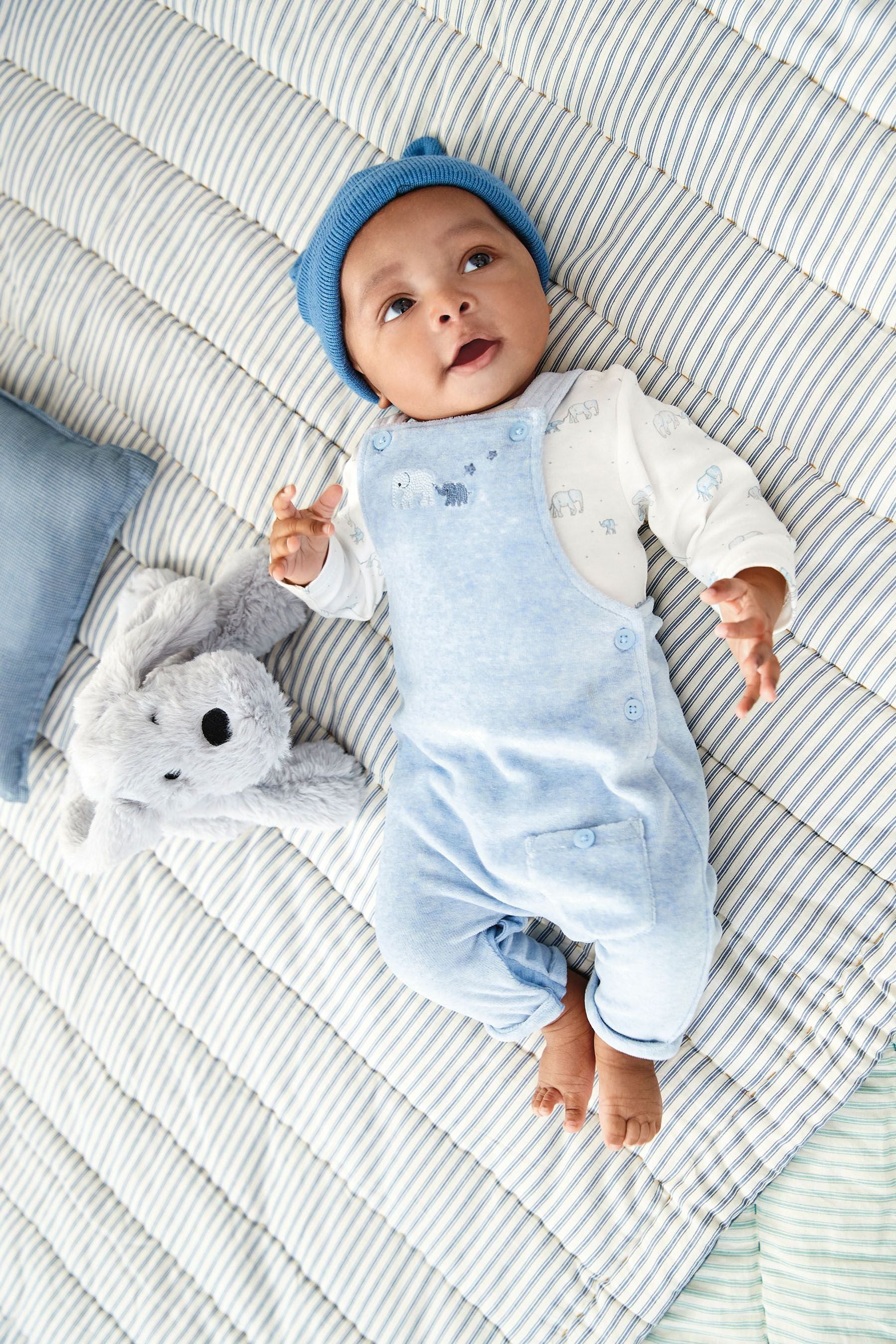 Blue Elephant Velour Baby Dungarees And Bodysuit Set (0mths-2yrs)