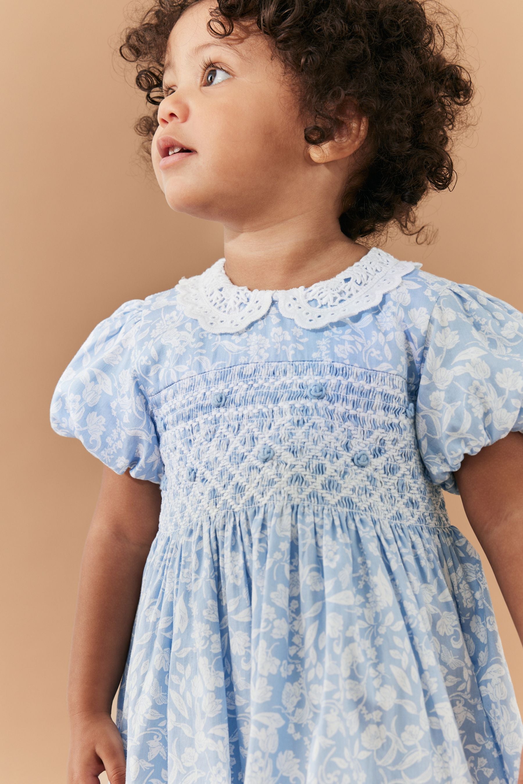 Blue Lace Collar Shirred Dress (3mths-8yrs)