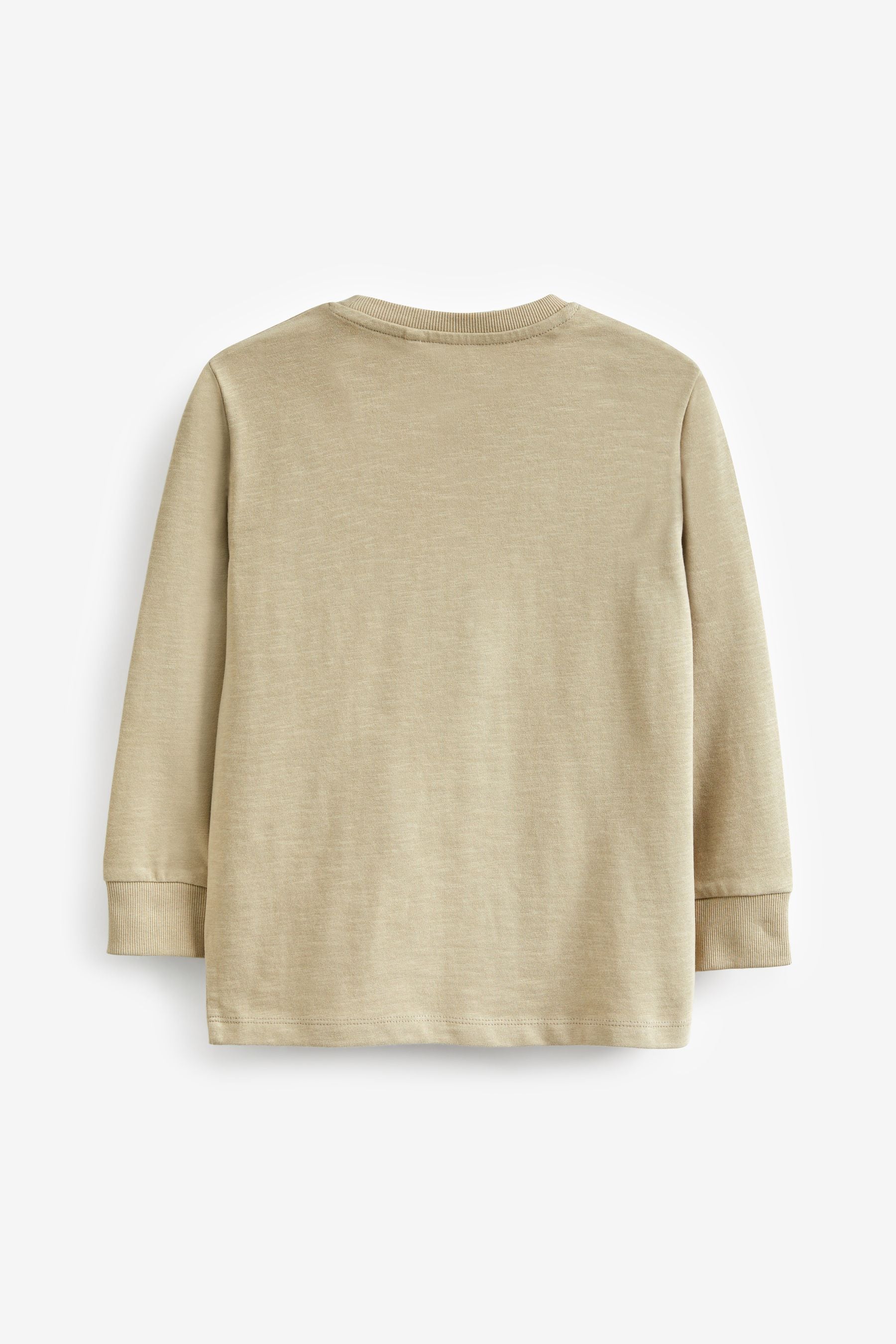 Stone Long Sleeve Cosy T-Shirt (3-16yrs)