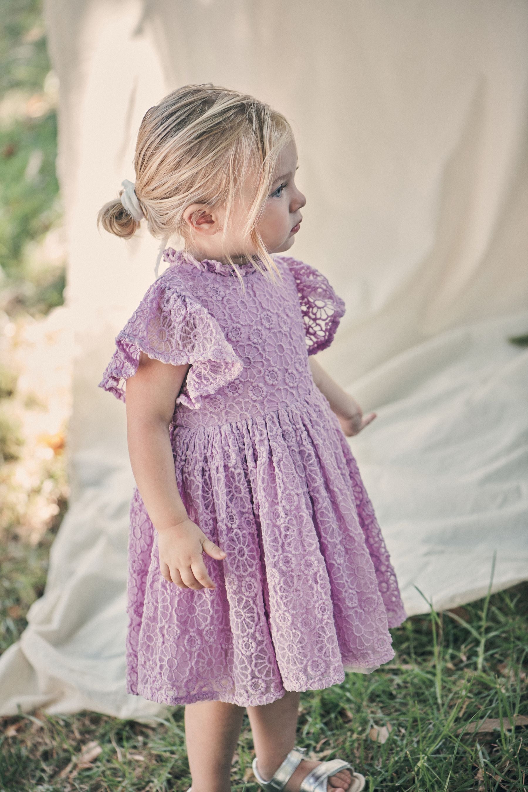 Lilac Purple Short Sleeve Lace Party Bridesmaid Dress (3mths-7yrs)