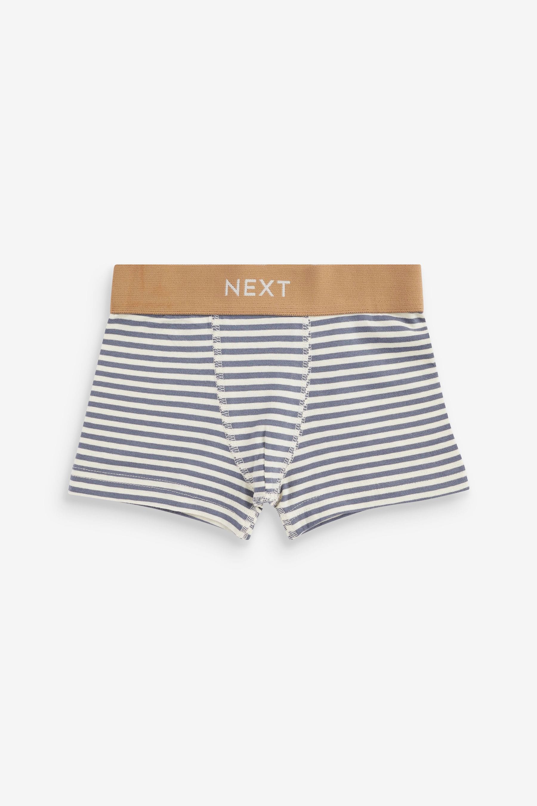 Blue/Grey Mini Bright Trunks (1.5-12yrs)