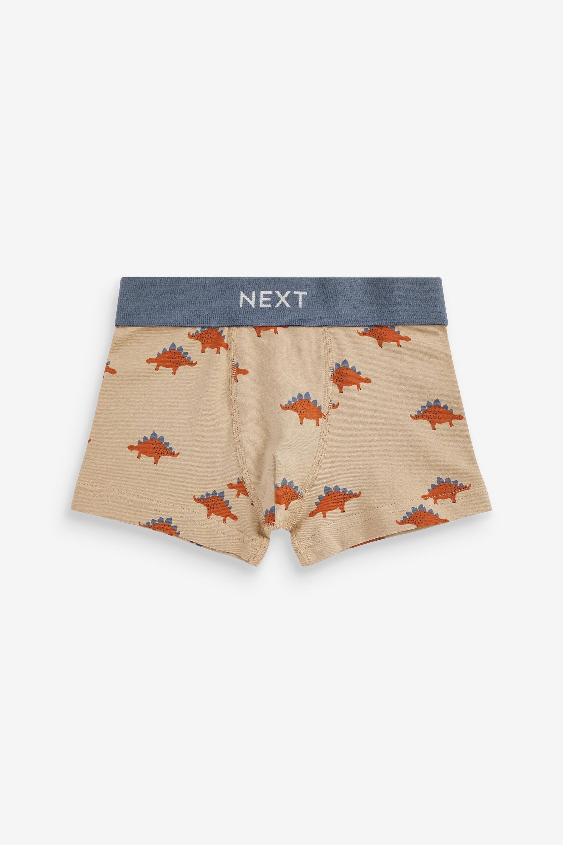 Blue/Grey Mini Bright Trunks (1.5-12yrs)