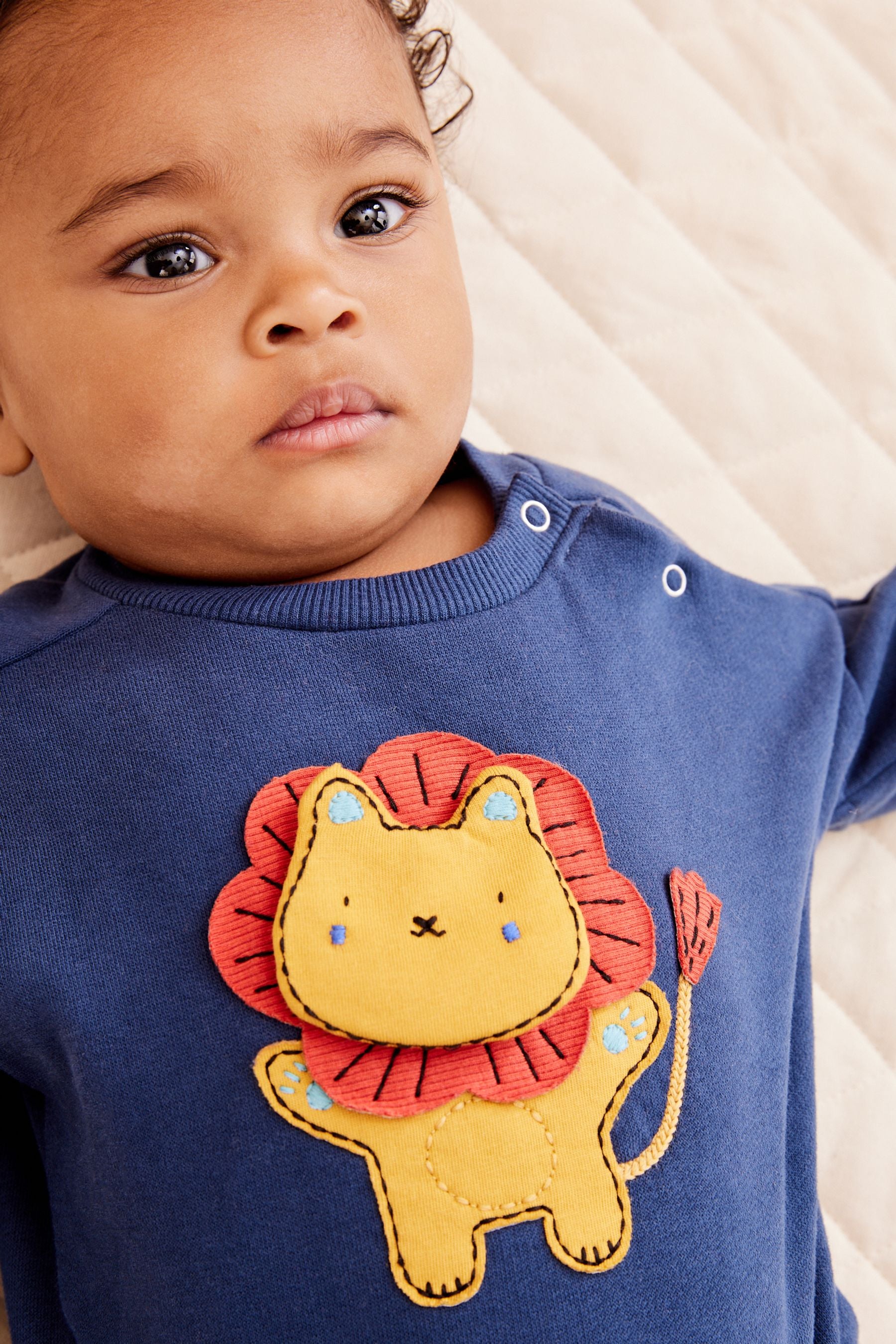 Navy Blue/Red Lion Cosy Baby Sweatshirt And Joggers 2 Piece Set