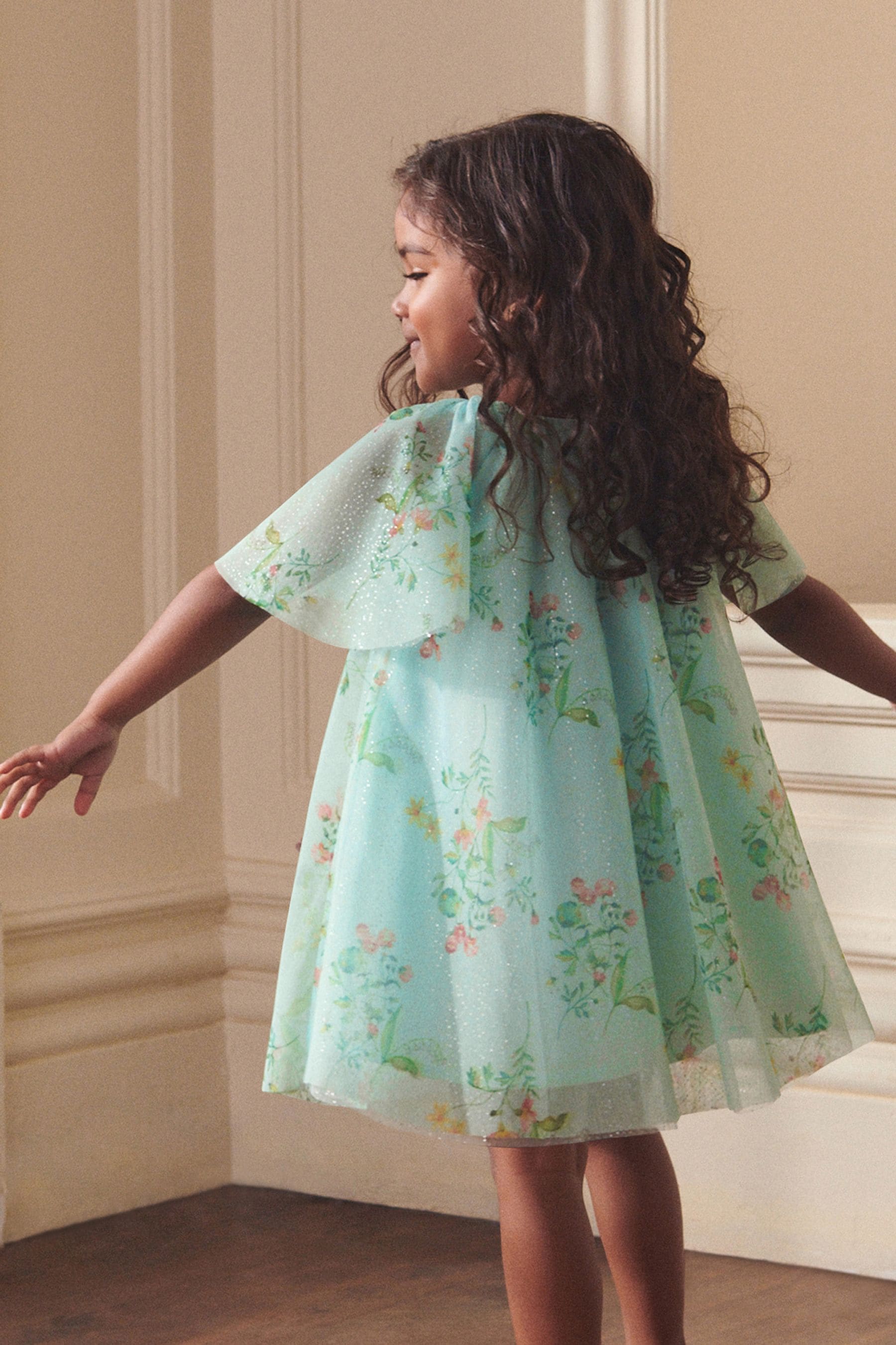 Mint Green Embellished Tulle Party Dress (3mths-10yrs)