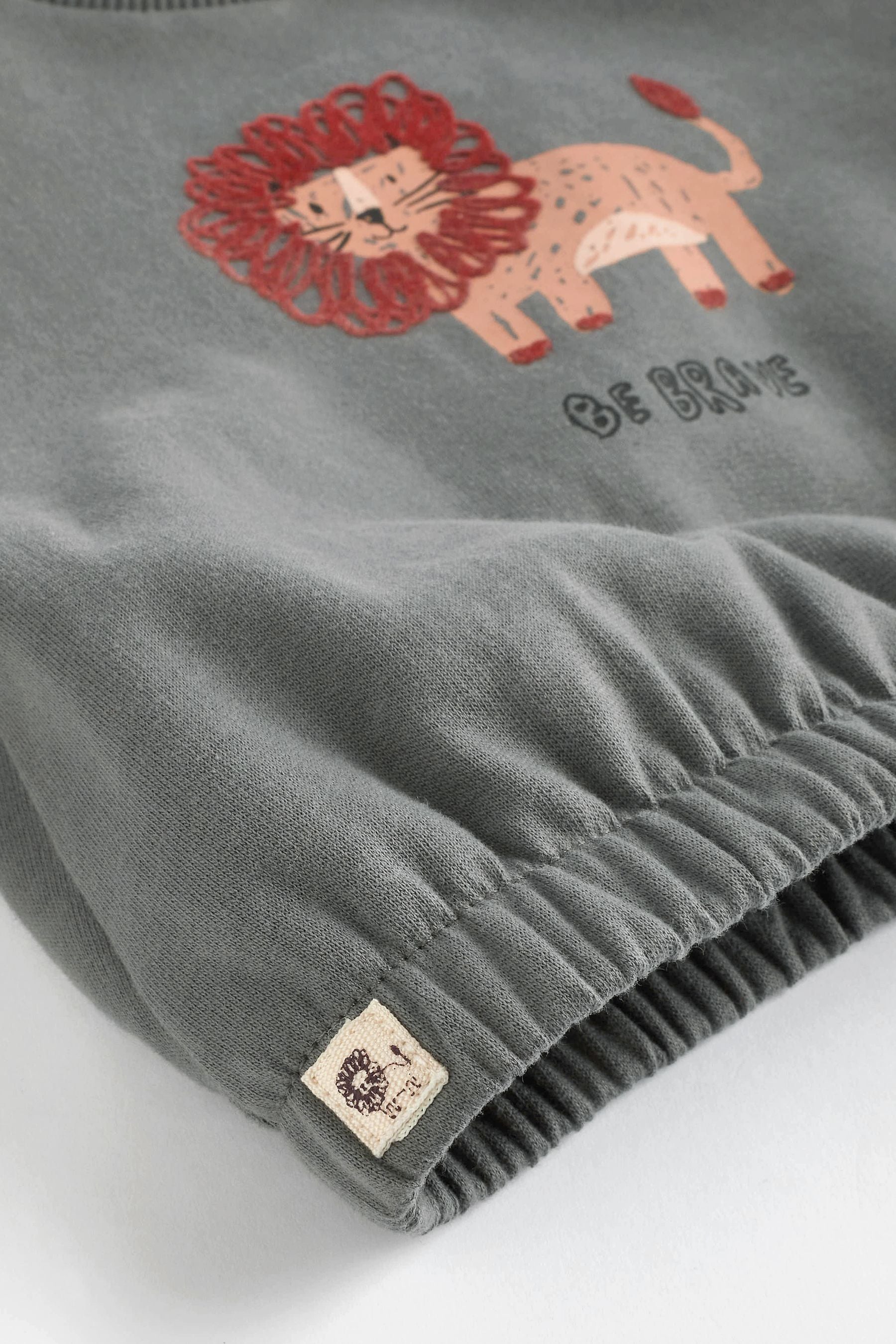 Charcoal Grey/Rust Brown Lion Cosy Baby Sweatshirt And Joggers 2 Piece Set