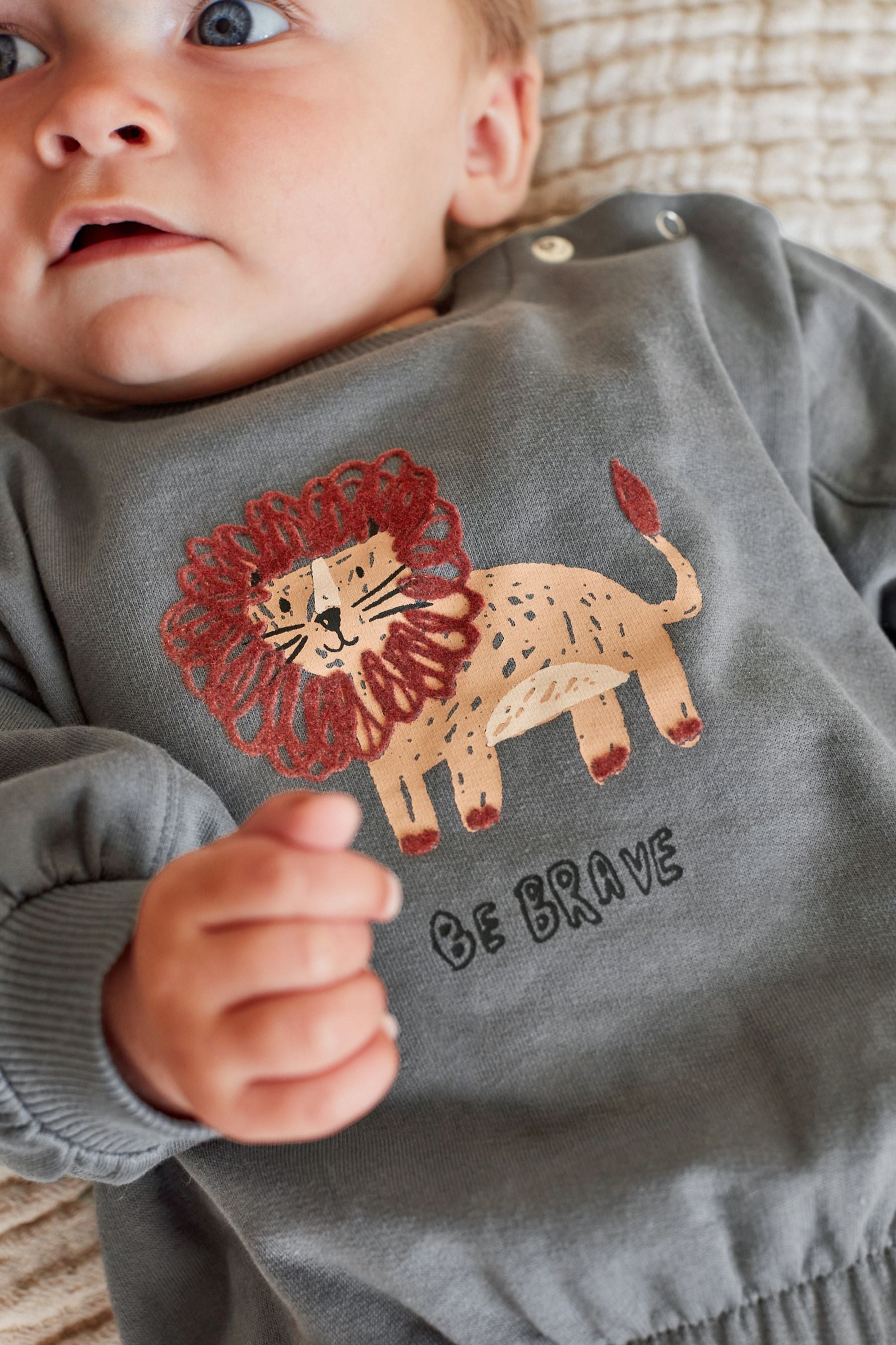 Charcoal Grey/Rust Brown Lion Cosy Baby Sweatshirt And Joggers 2 Piece Set