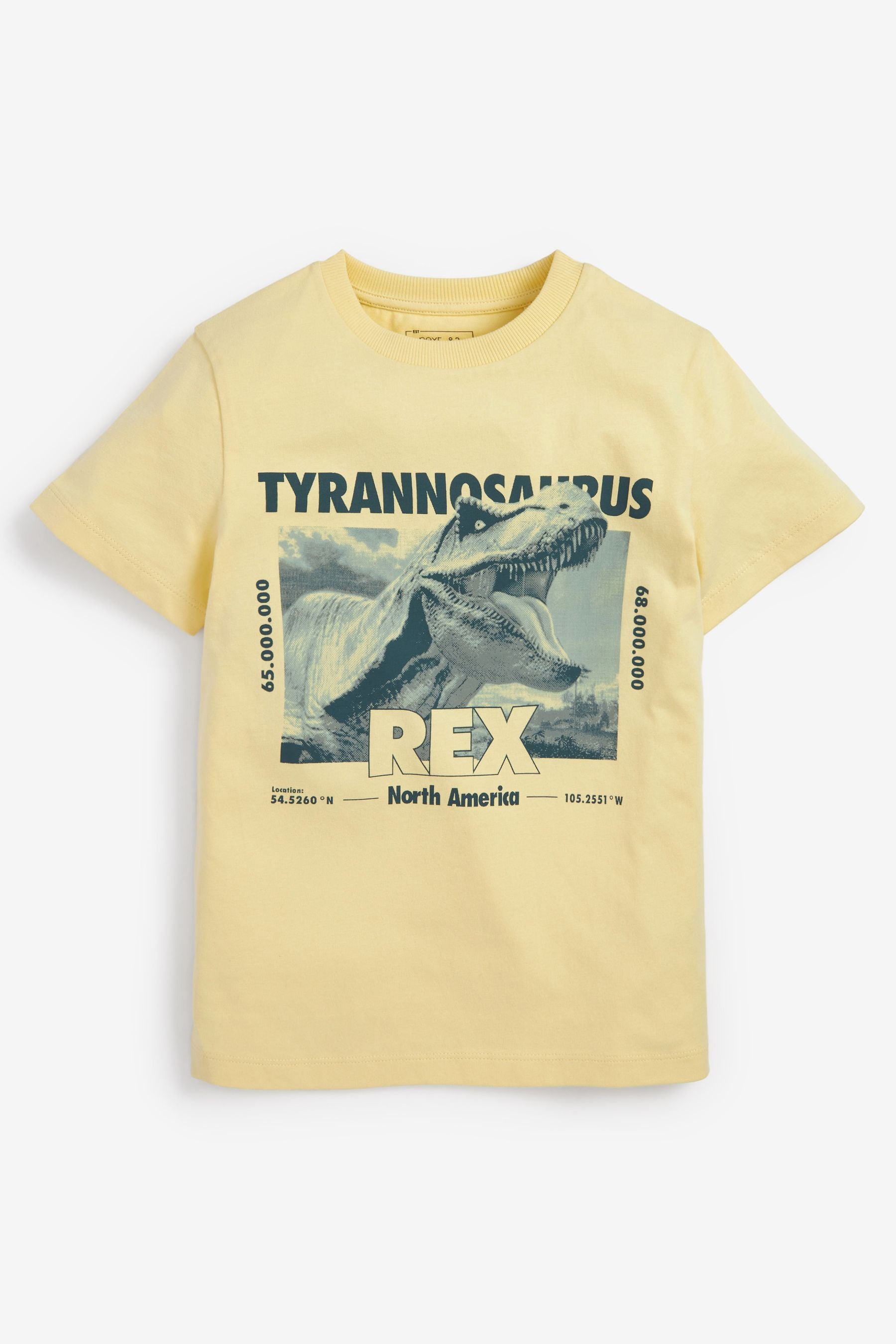 Multi 3 Pack Dinosaur T-Shirts (3-14yrs)