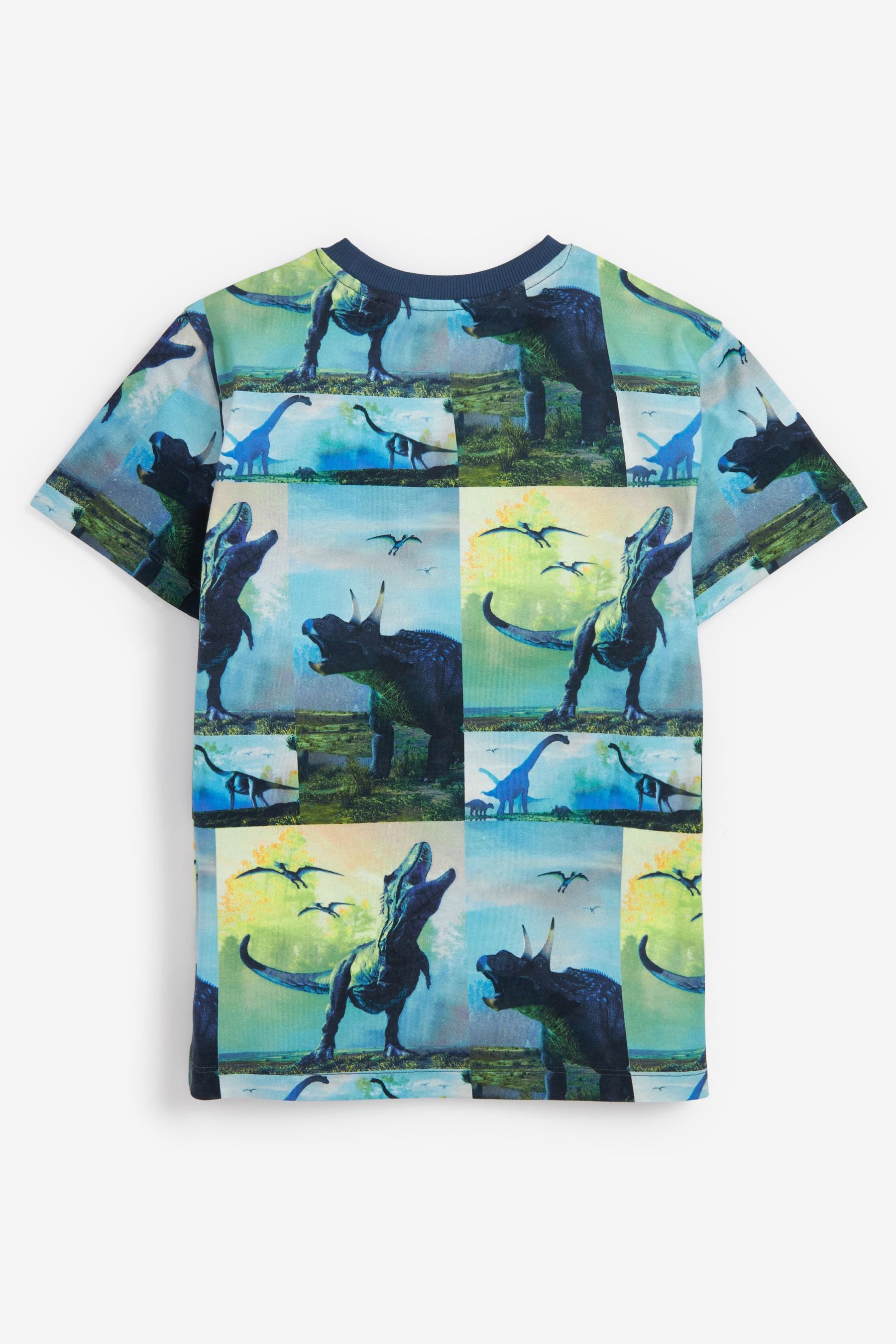 Multi 3 Pack Dinosaur T-Shirts (3-14yrs)