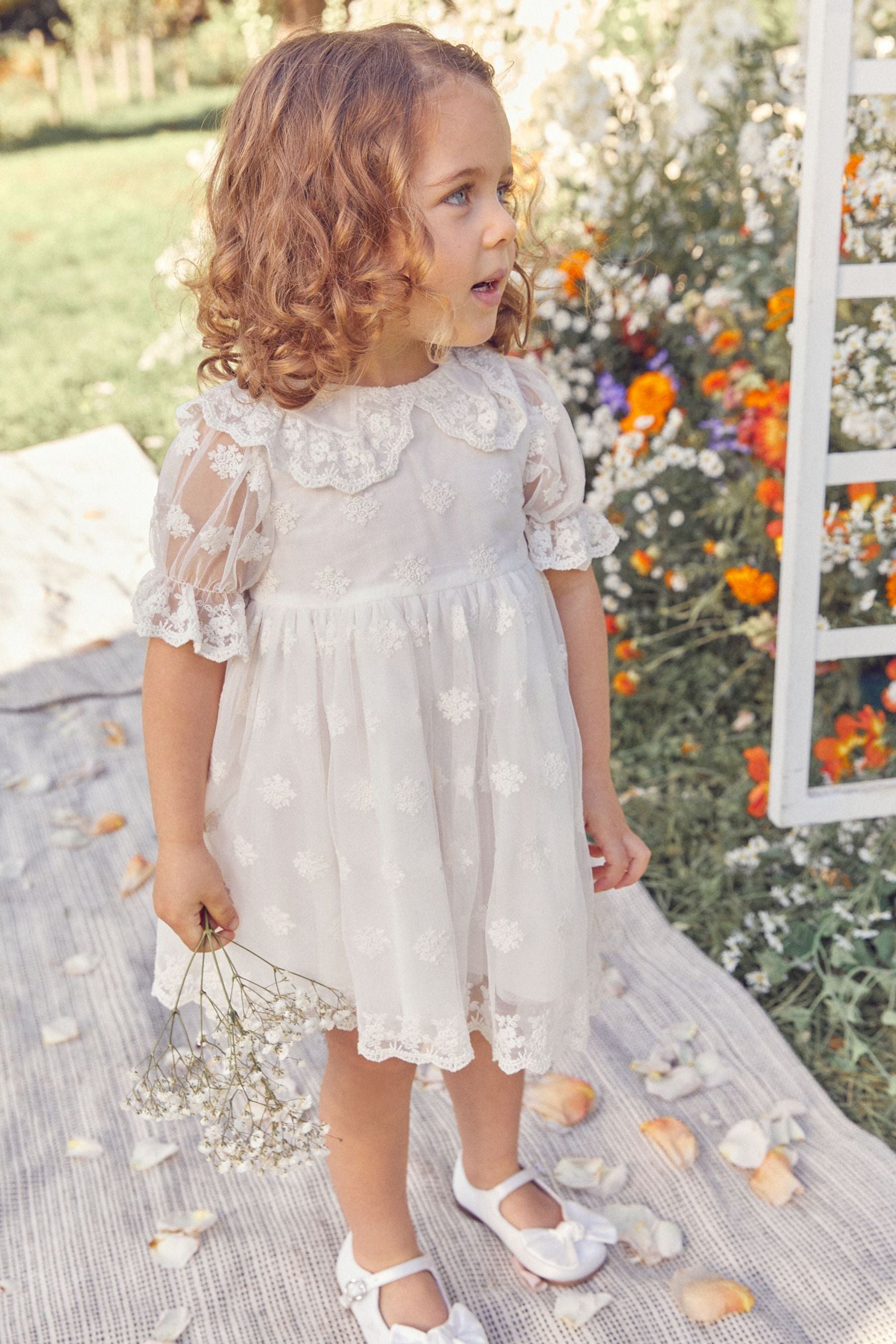 Ivory Lace Occasion Dress (3mths-8yrs)