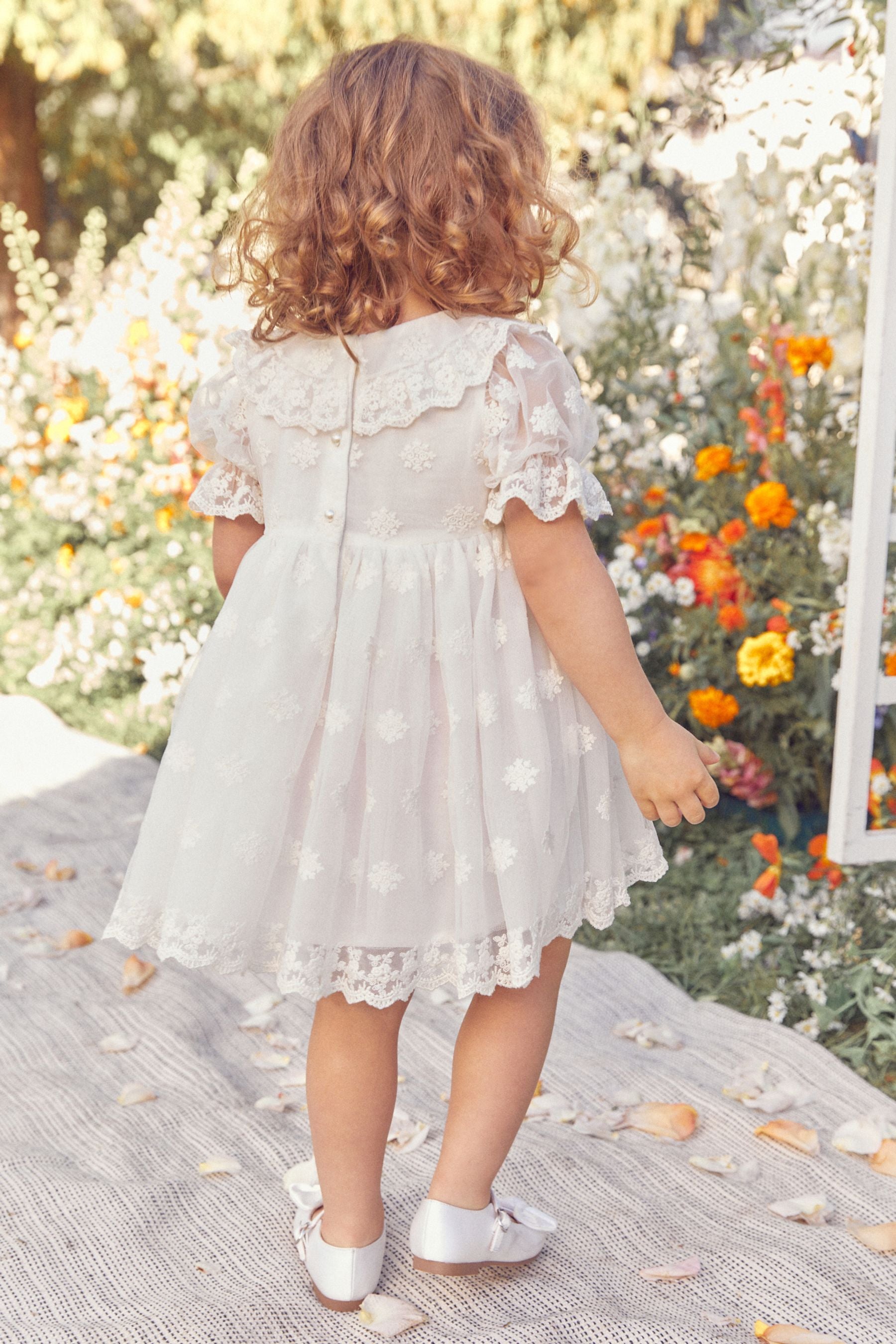 Ivory Lace Occasion Dress (3mths-8yrs)