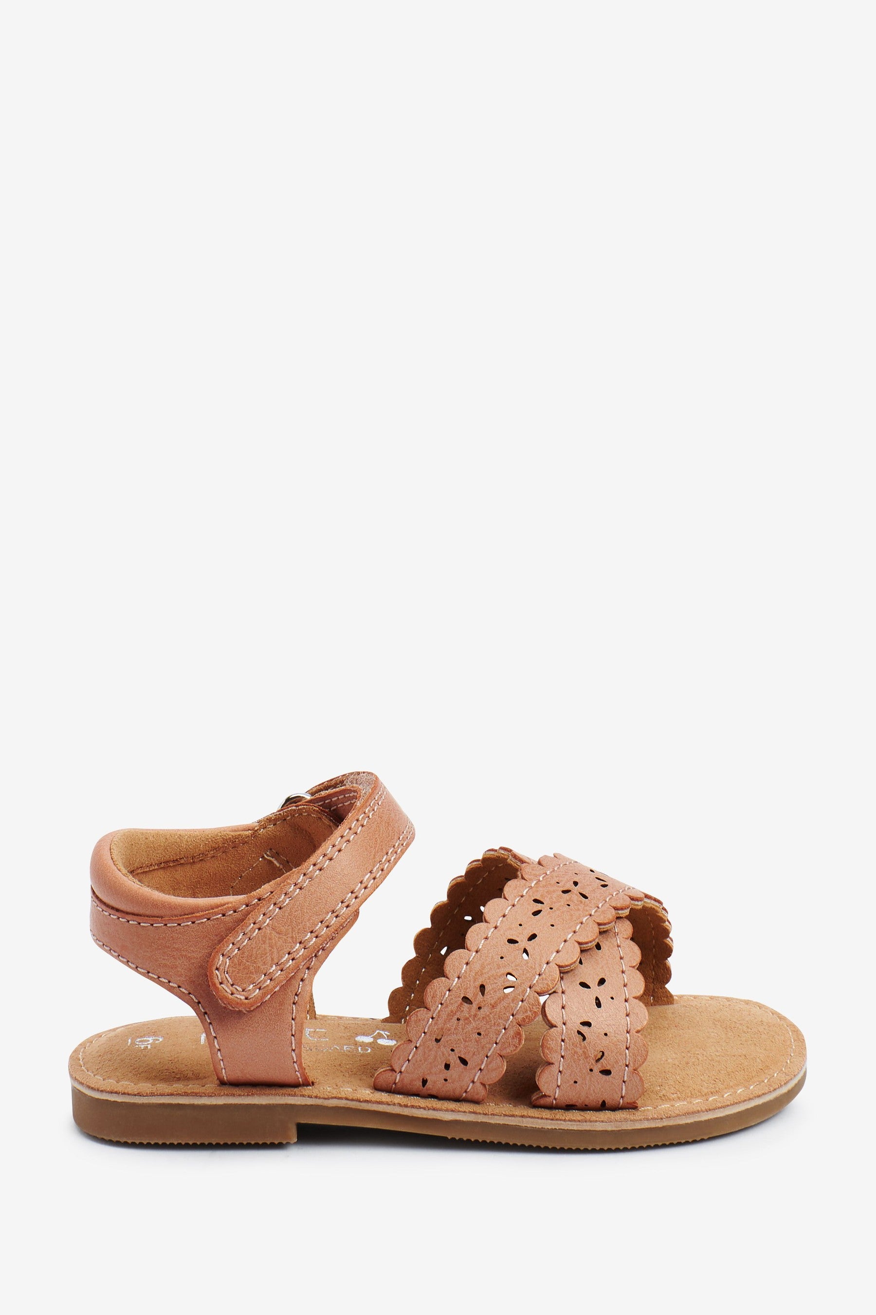 Tan Brown Standard Fit (F) Scallop Sandals