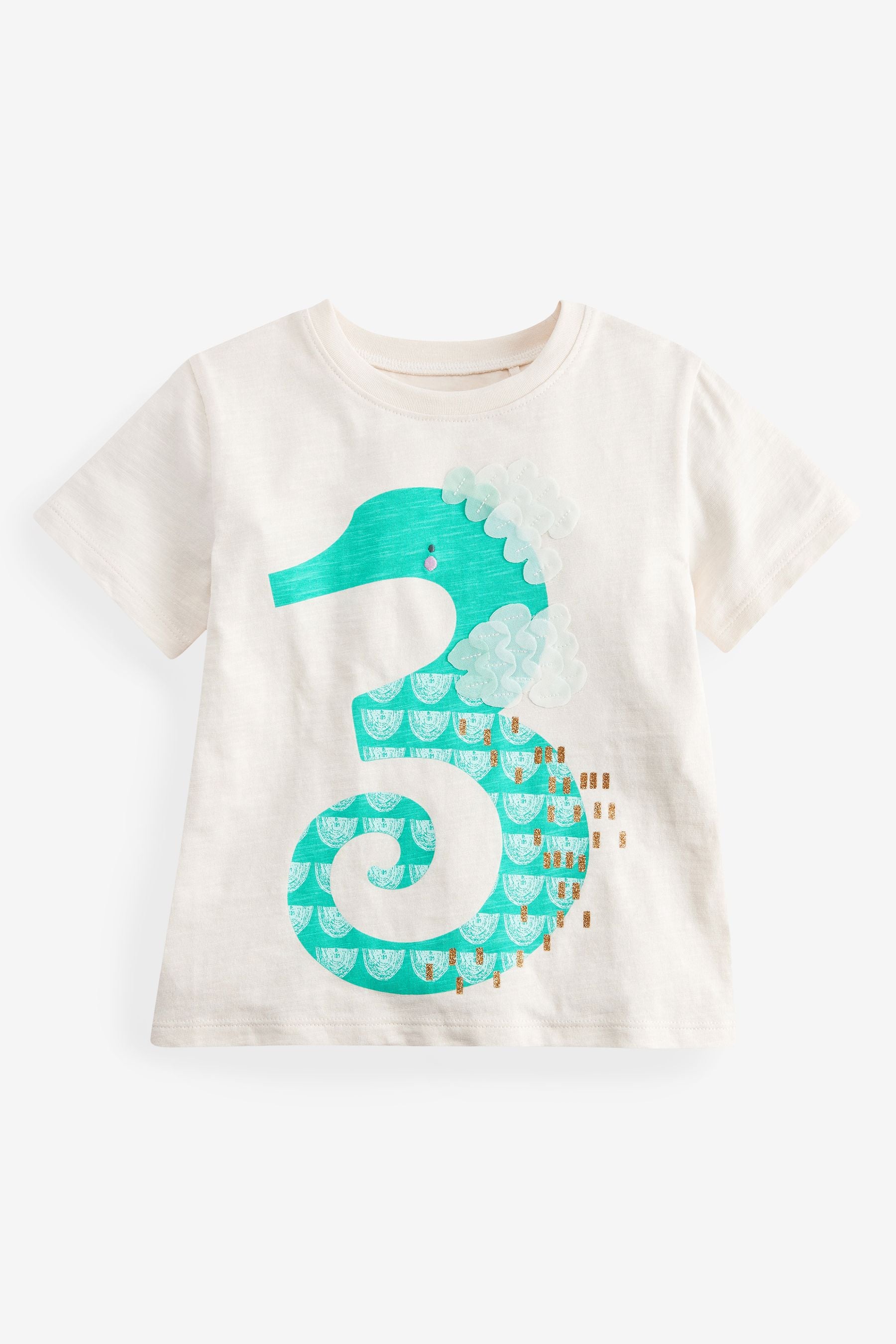 Multi I am Birthday T-Shirt (12mths-8yrs)