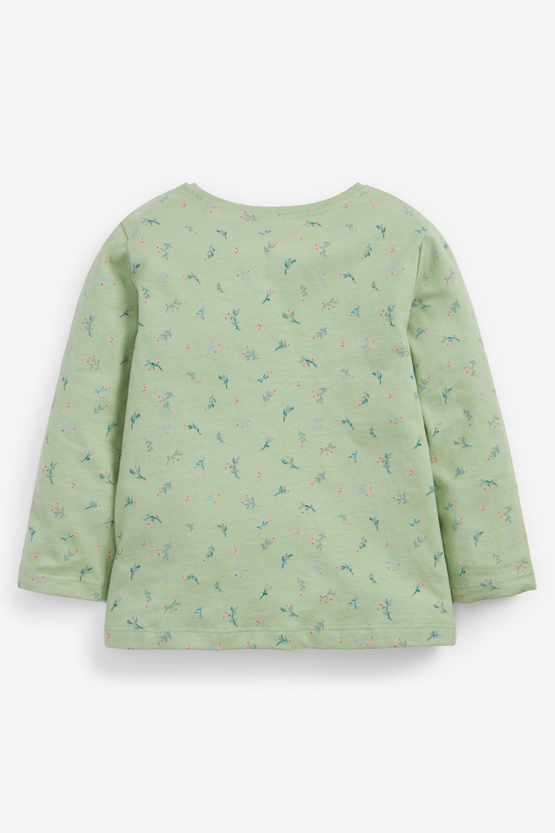 Green Bunny Bag T-Shirt (3mths-7yrs)