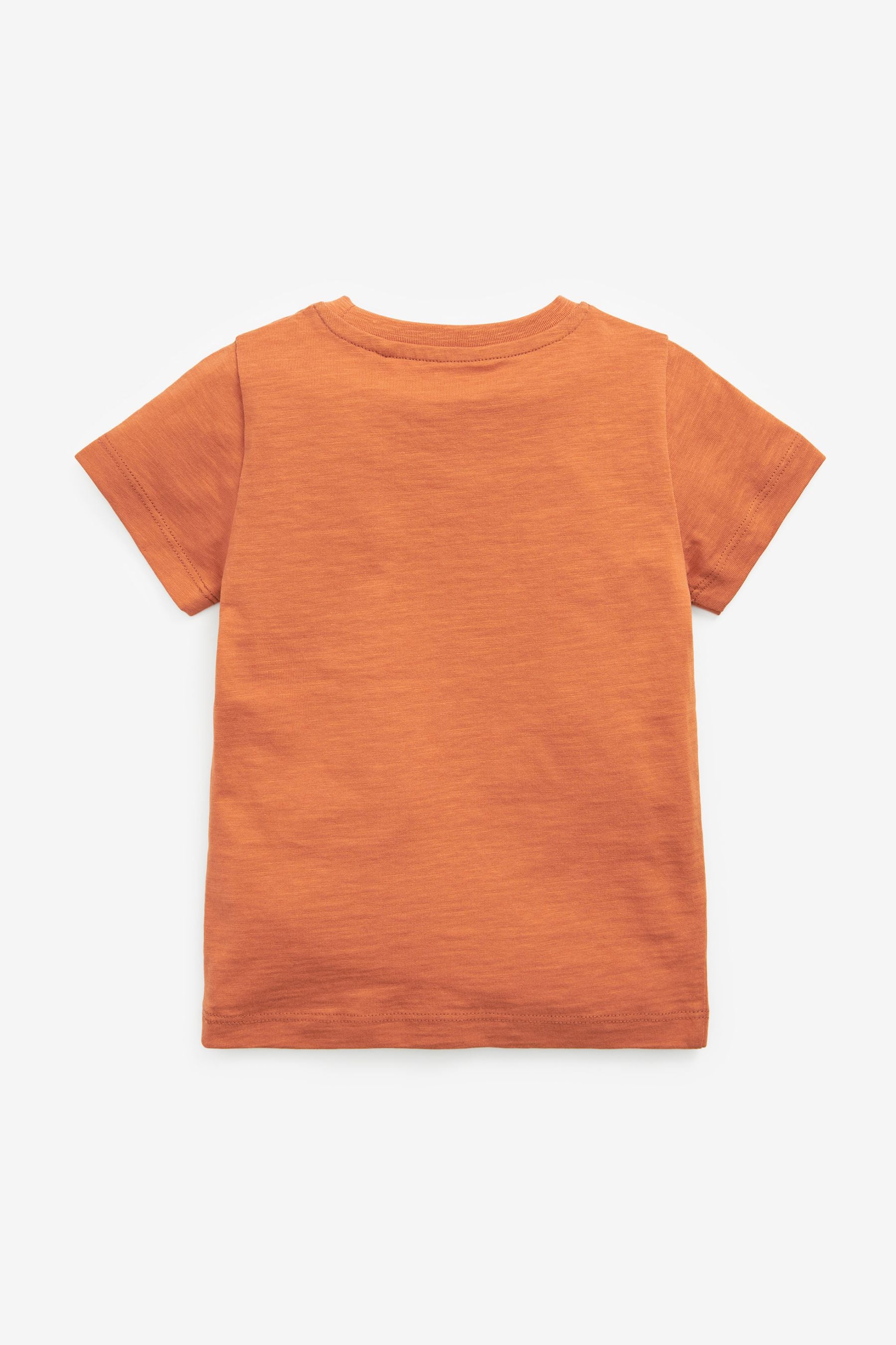 Rust Orange Short Sleeve Plain T-Shirt (3mths-7yrs)