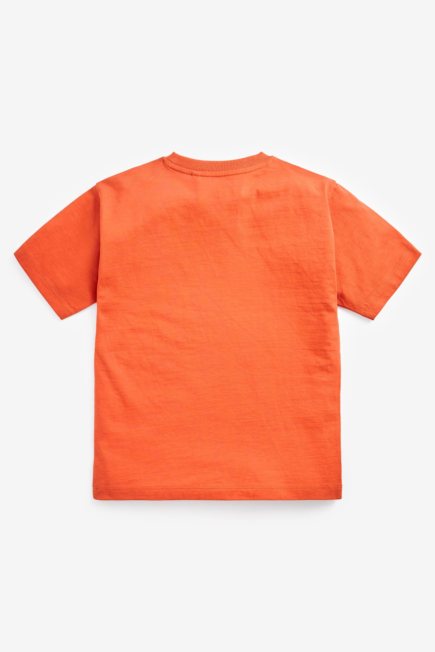 Rust Orange Skate Smile Short Sleeve Graphic T-Shirt (3-16yrs)