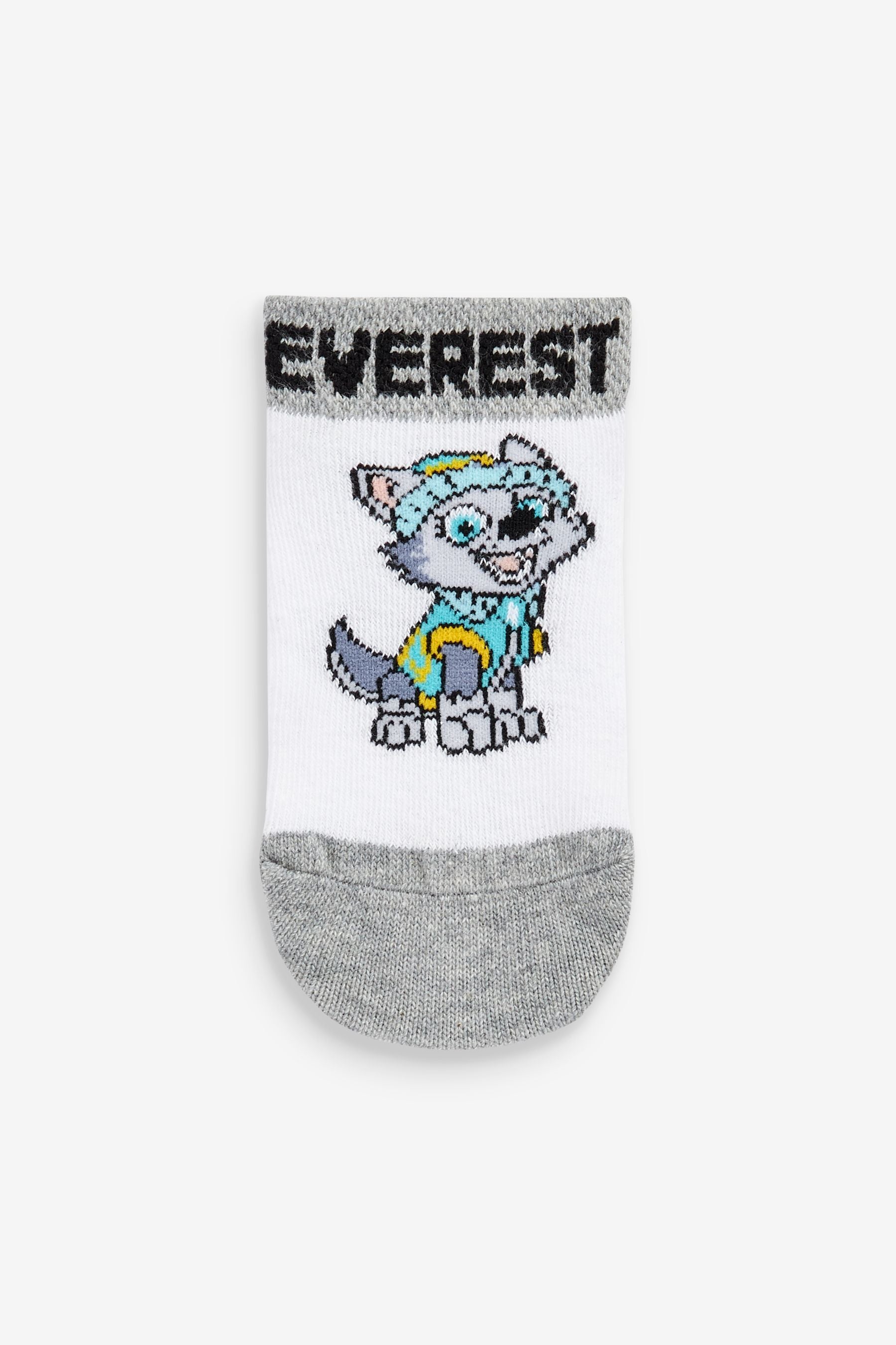 Blue/Grey PAW Patrol 5 Pack Cotton Rich Trainer Socks