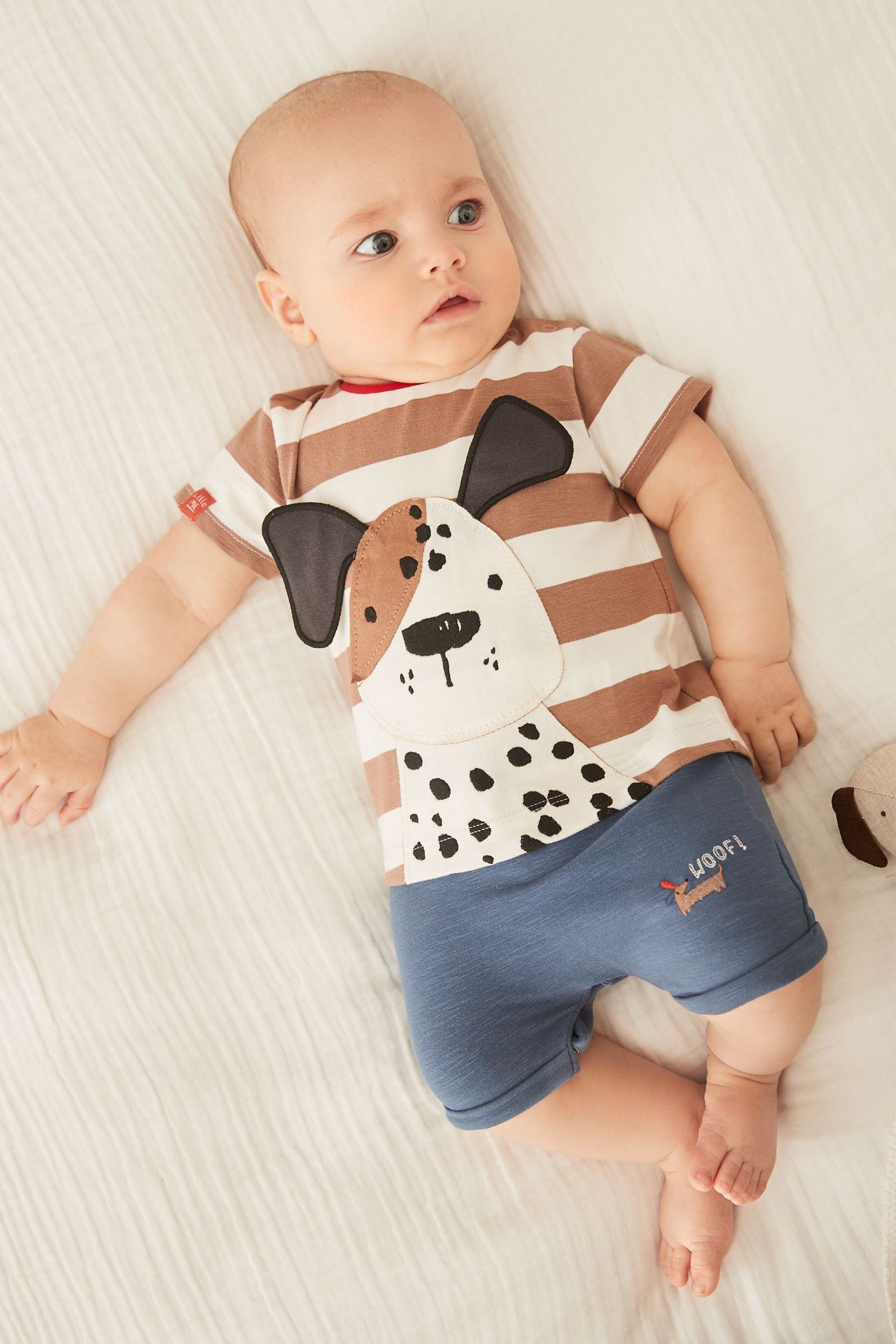 Navy Blue and Brown Baby Stripe Dog Romper (0mths-2yrs)