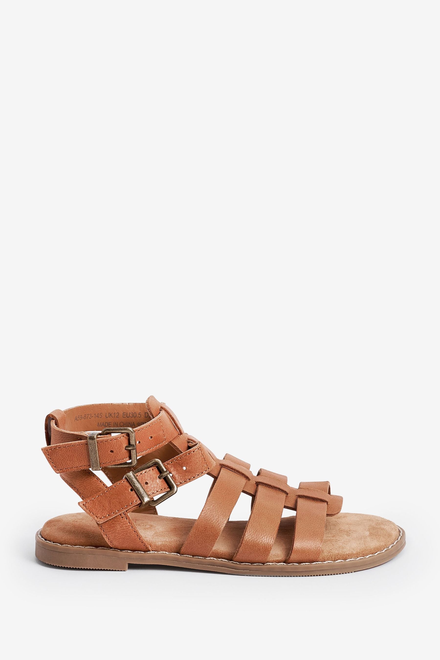 Tan Brown Leather Premium Gladiator Sandals