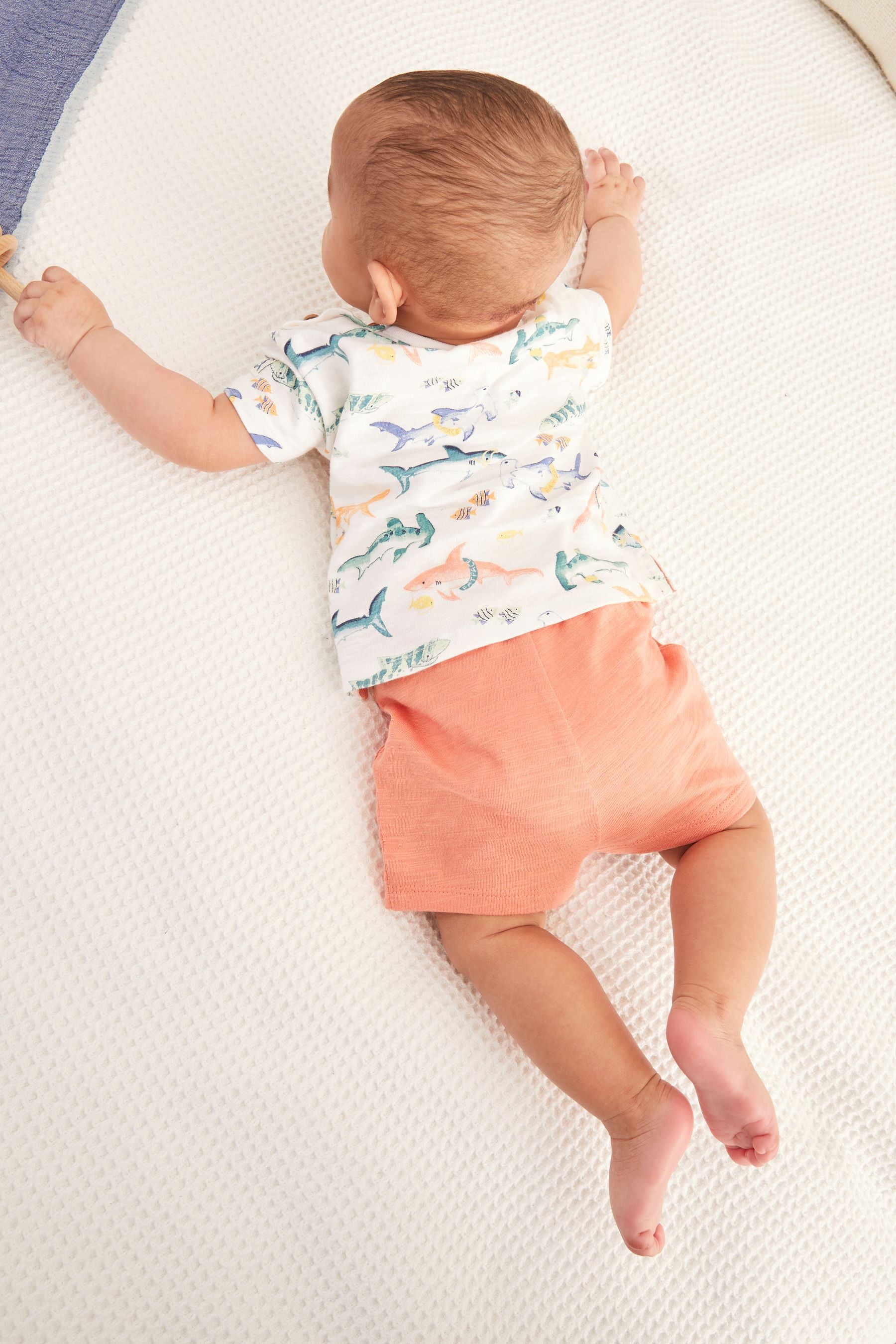 FatFace Baby Crew Shark Print T-Shirt And Short Set