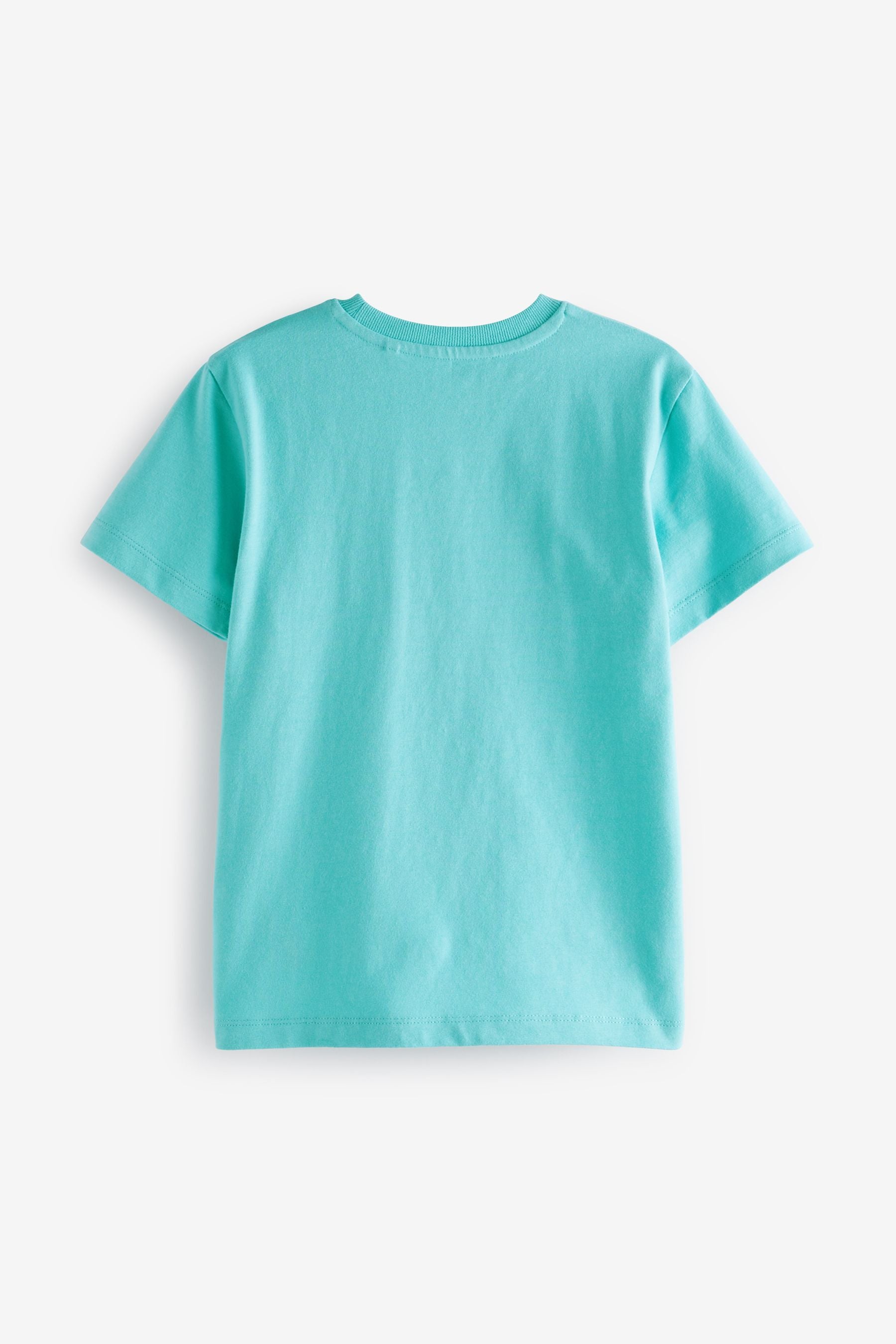 Mint Green Stag Embroidered Short Sleeve T-Shirt (3-16yrs)