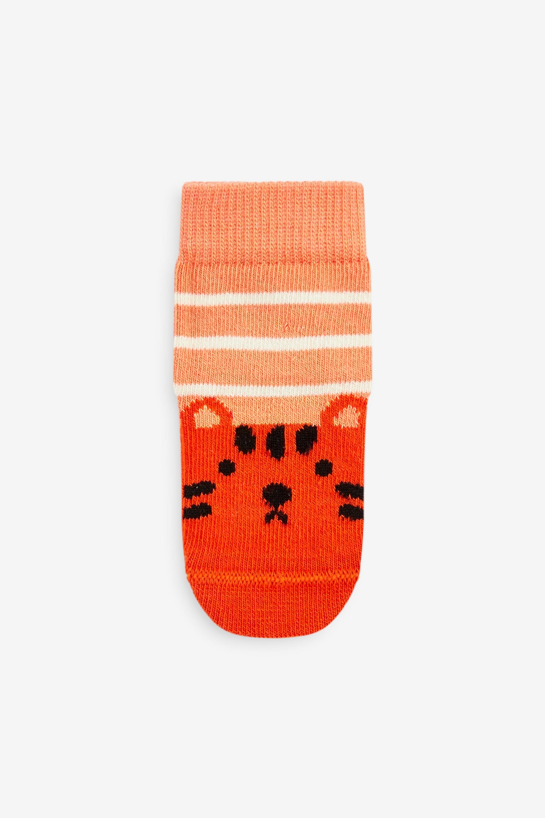 Multi Animal Baby Socks 5 Pack (0mths-2yrs)