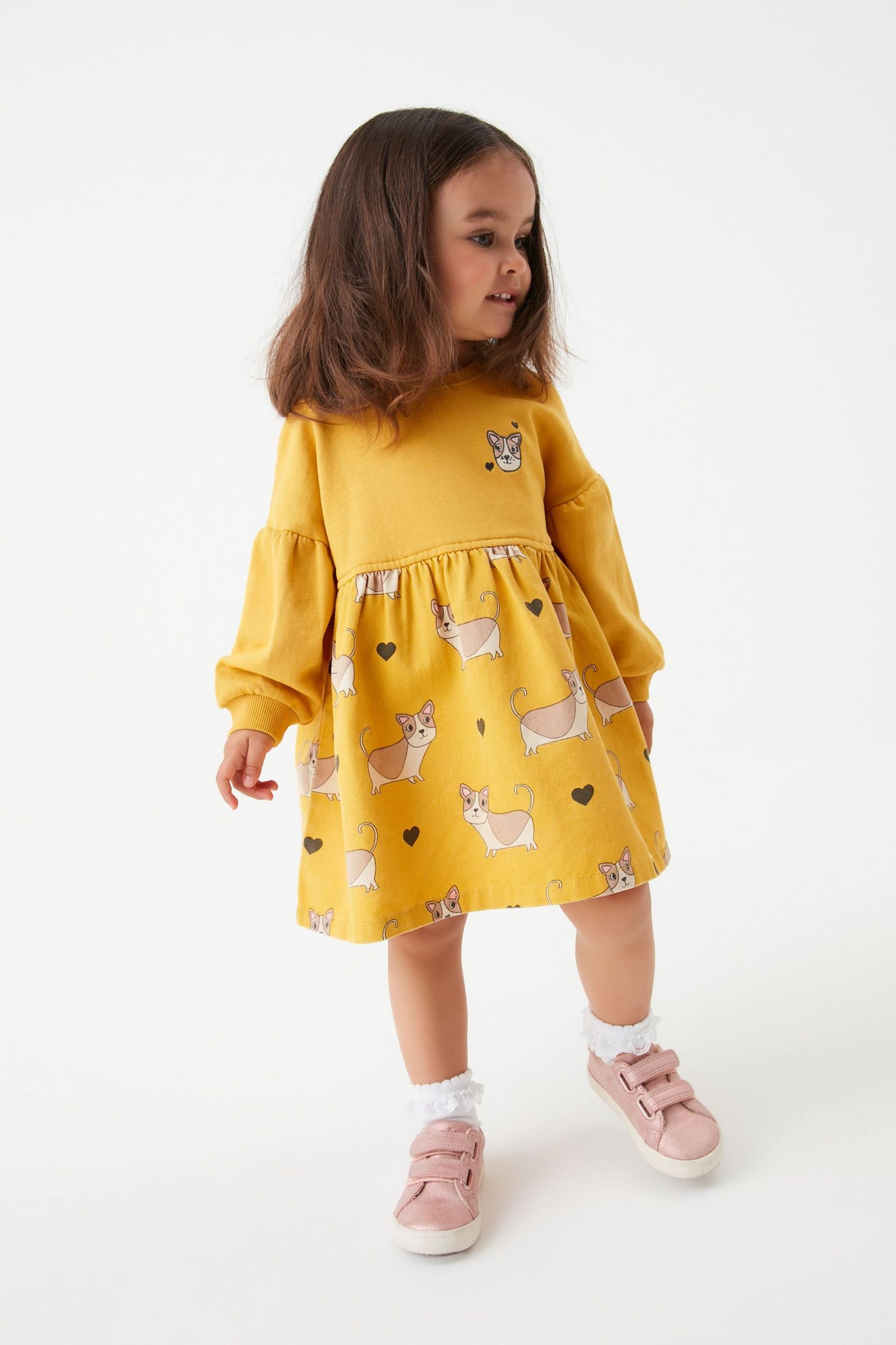 Yellow Dog Printed Raglan Dress (3mths-7yrs)