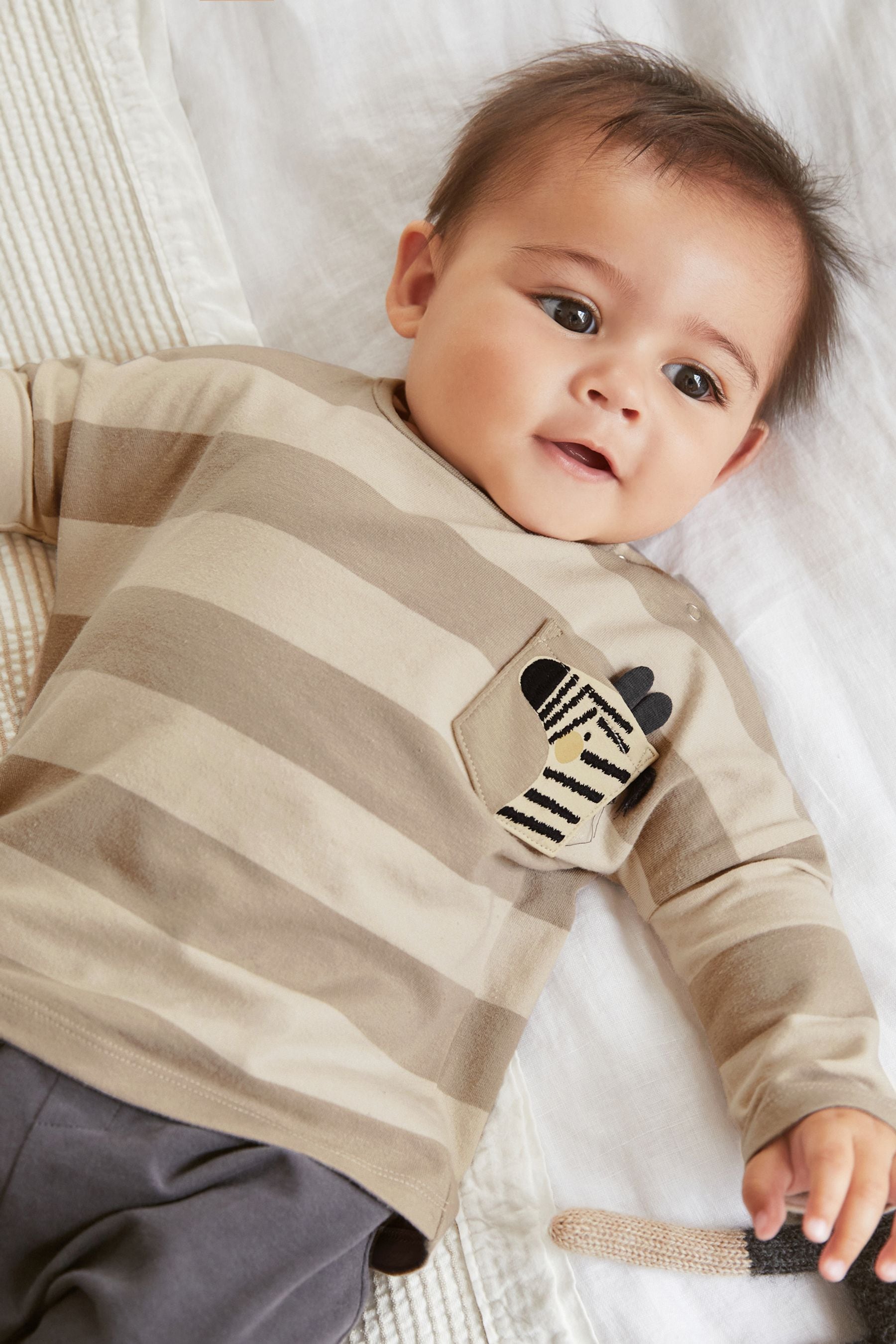 Tan Brown Zebra 3 Pack Baby T-Shirts