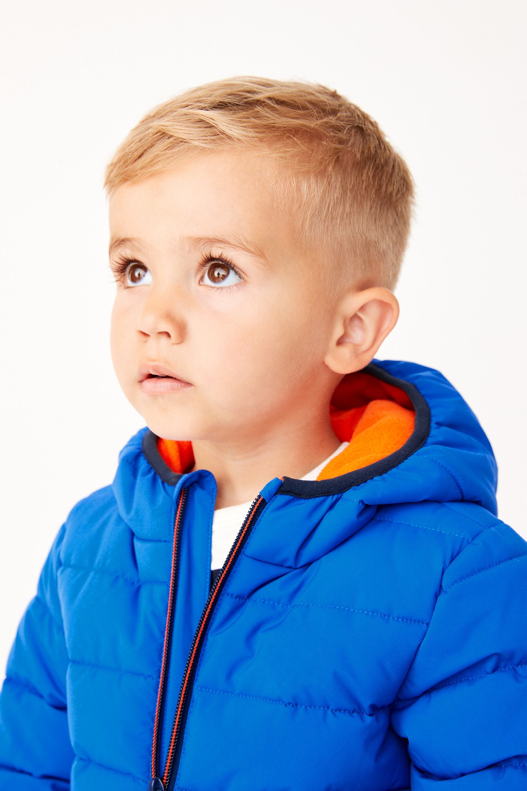 Cobalt Blue Padded Coat (3mths-7yrs)