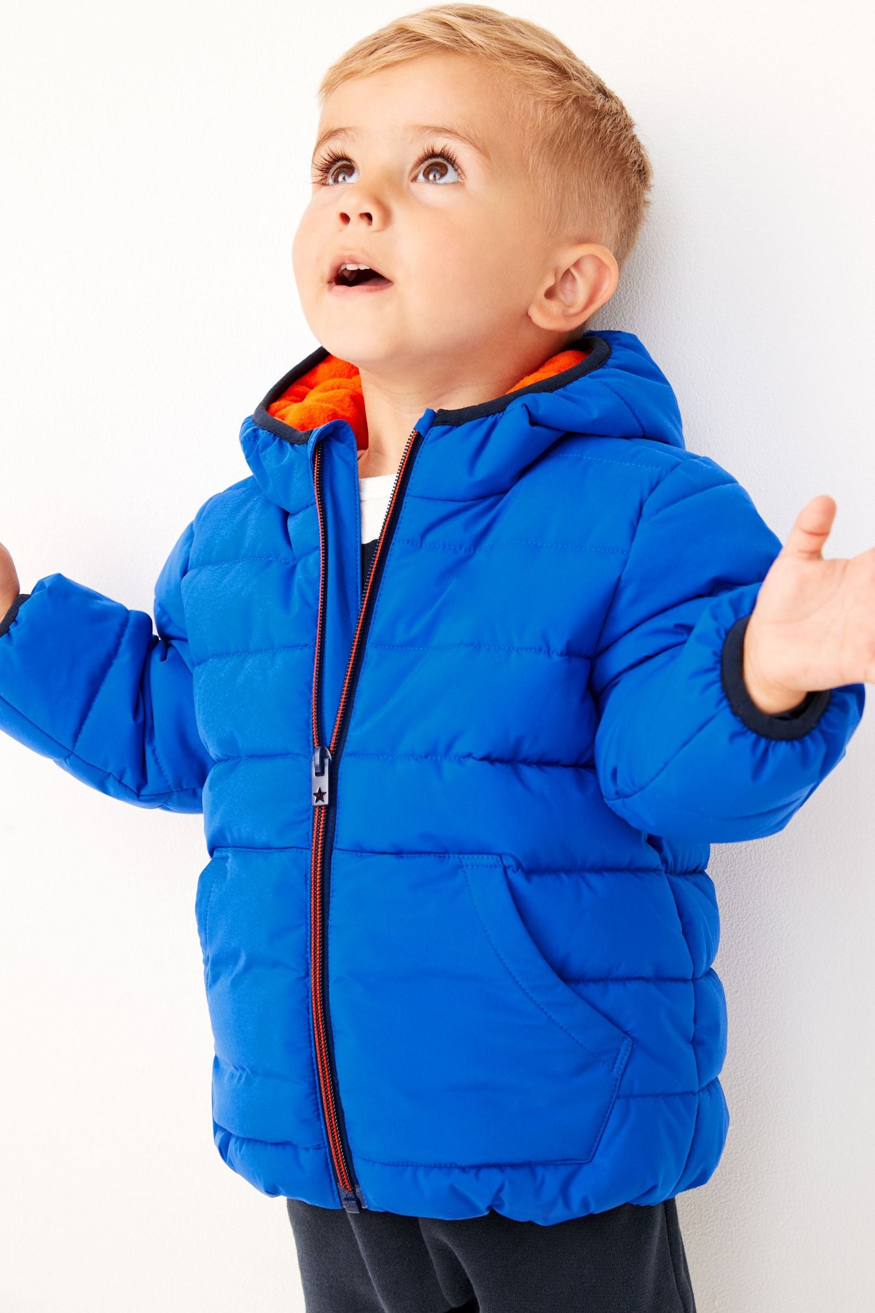 Cobalt Blue Padded Coat (3mths-7yrs)