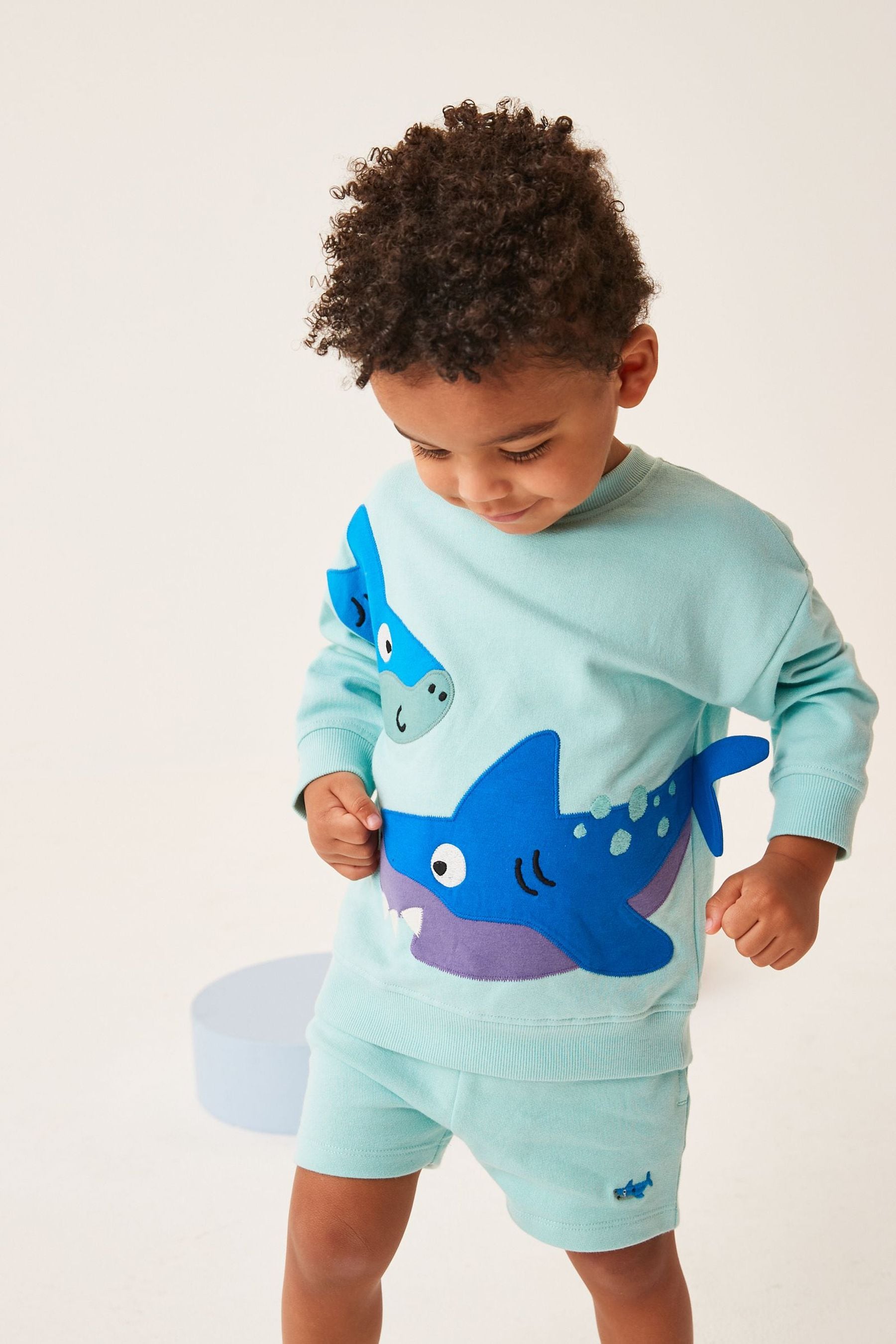 Aqua Blue Shark Appliquéée Sweatshirt and Short Set (3mths-7yrs)