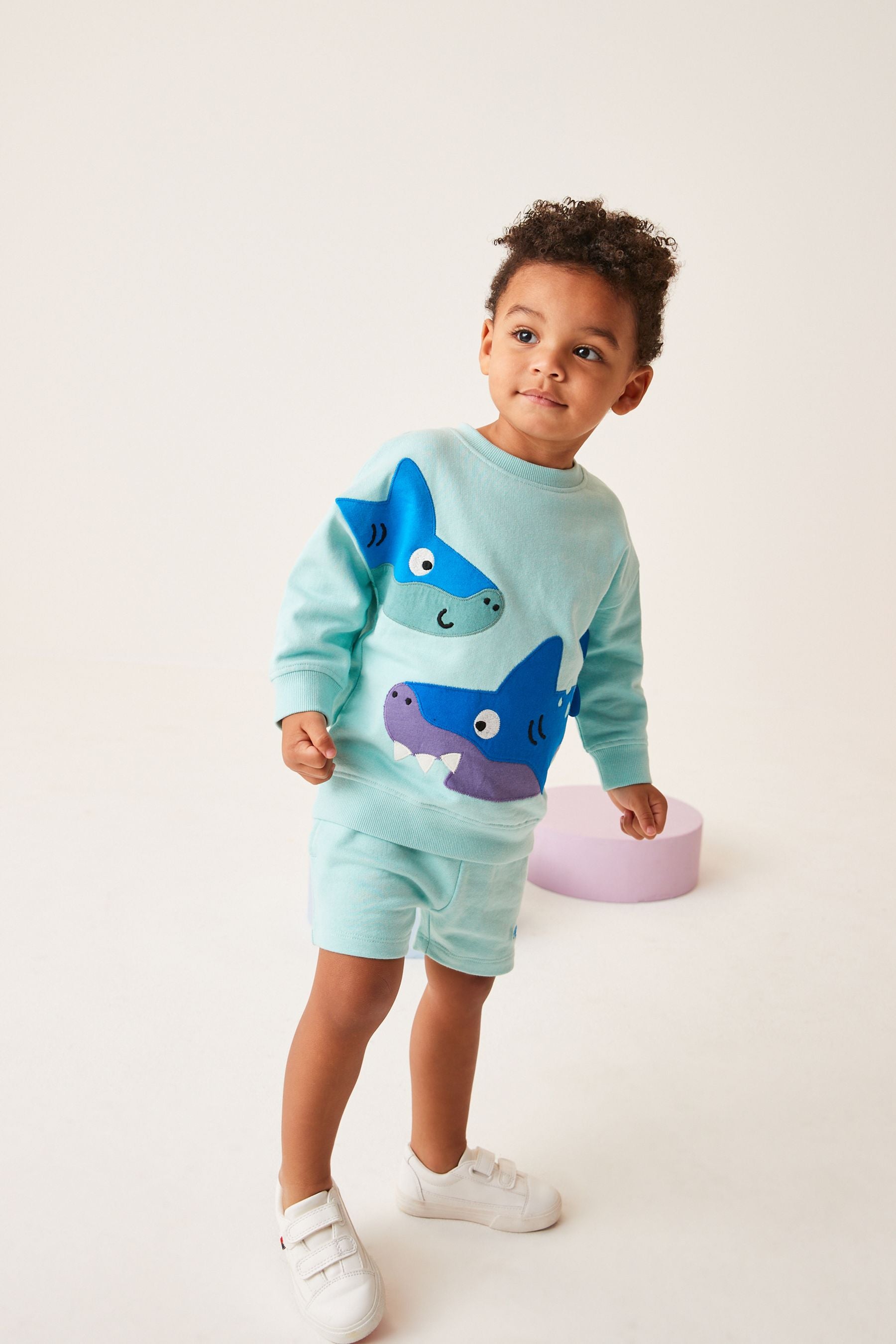 Aqua Blue Shark Appliquéée Sweatshirt and Short Set (3mths-7yrs)