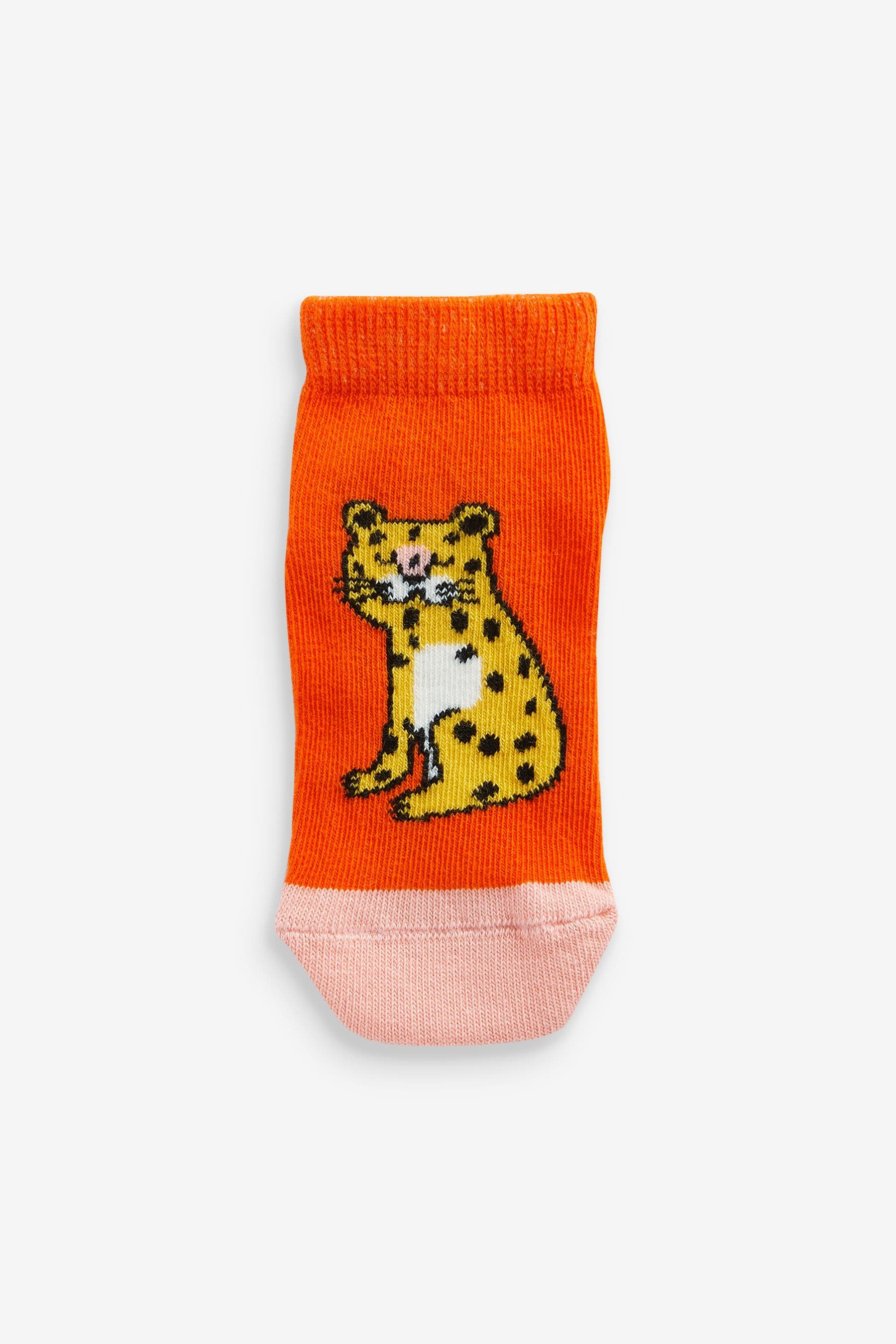 Bright Animals Cotton Rich Trainer Socks 5 Pack