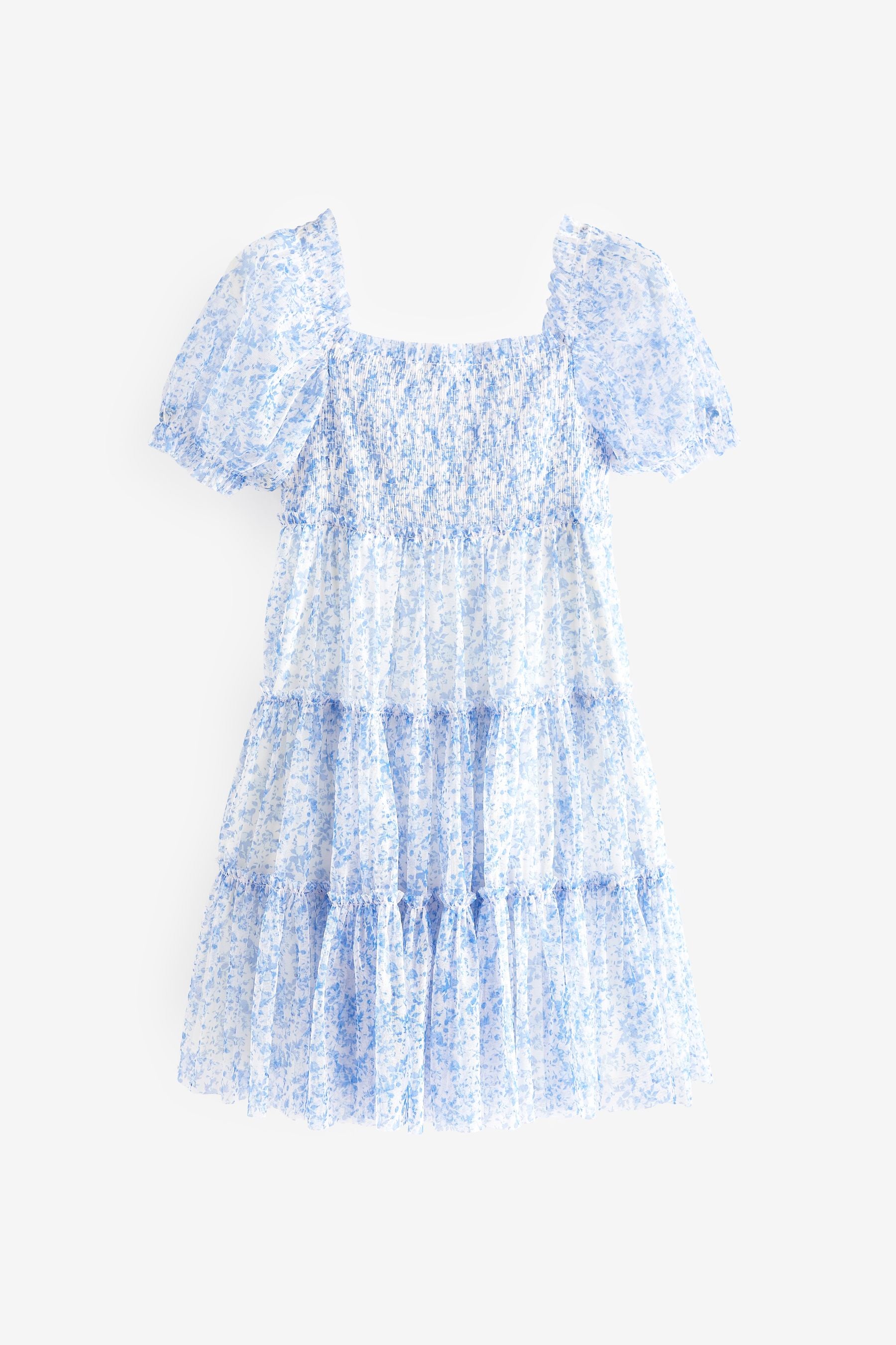 Blue Floral Mesh Tiered Dress (3-16yrs)