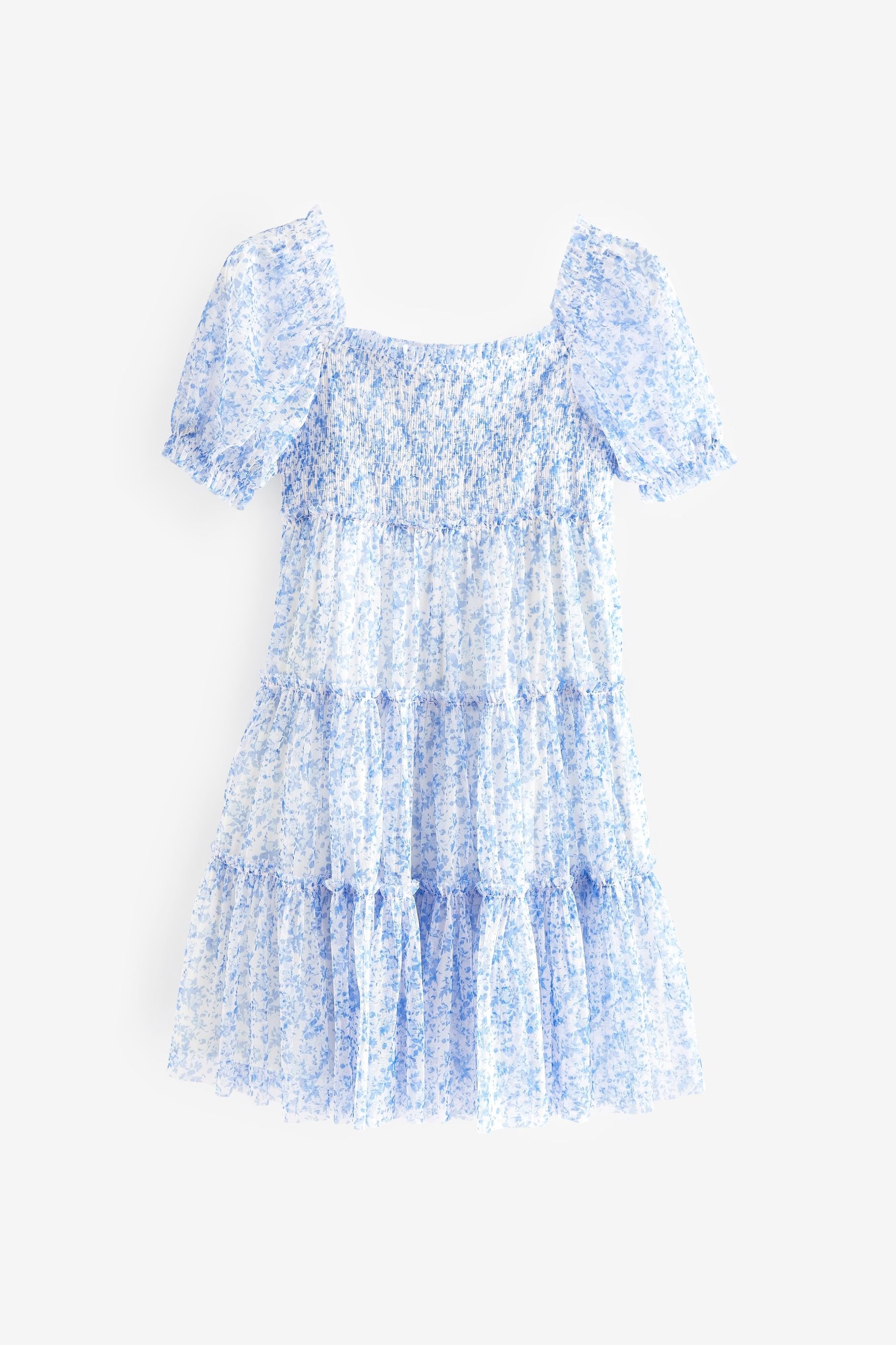 Blue Floral Mesh Tiered Dress (3-16yrs)