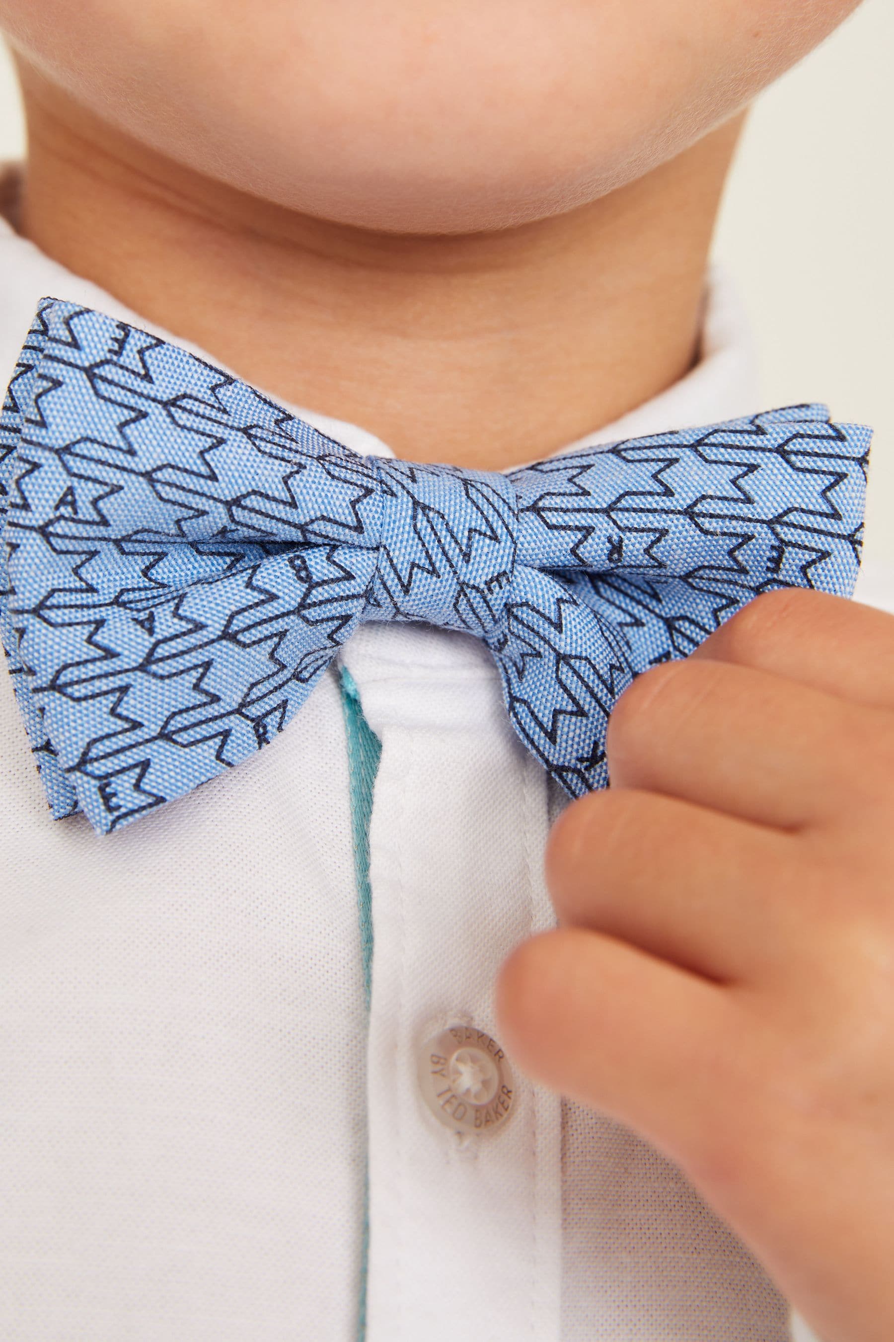 Blue Baker by Ted Baker Bow Tie