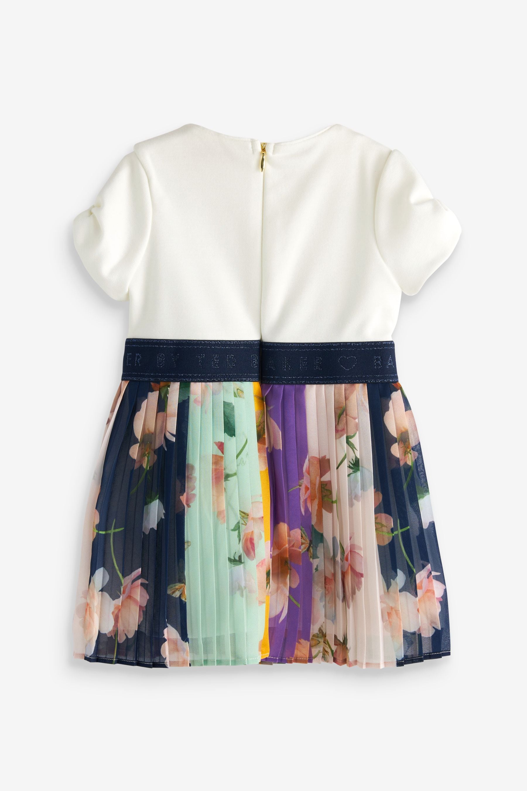 Multi Baker by Ted Baker Multi Pleated Mockable Dress