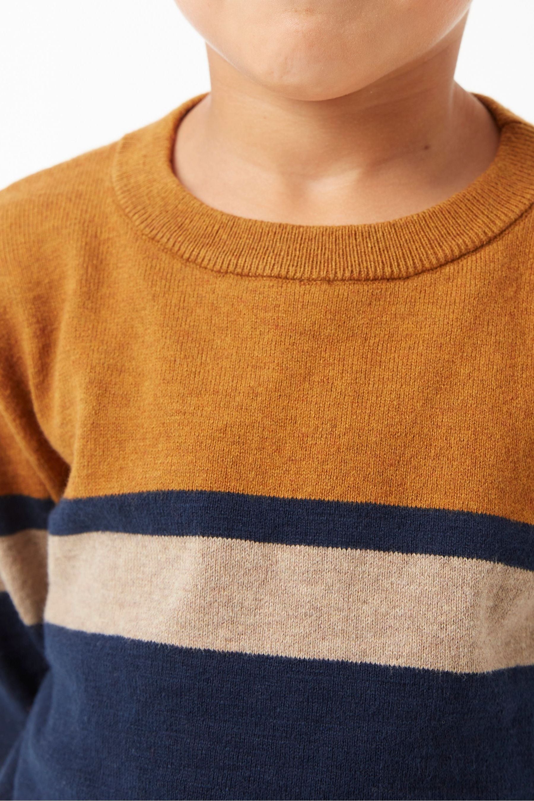 FatFace Blue Striped Jumper