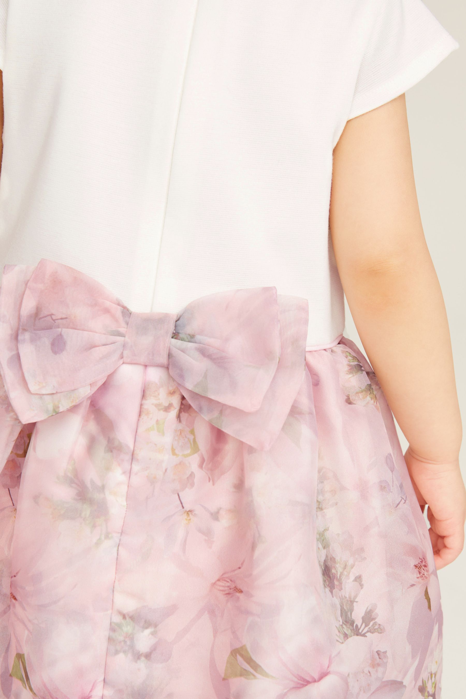 Pink Baker by Ted Baker Pink Organza Dress