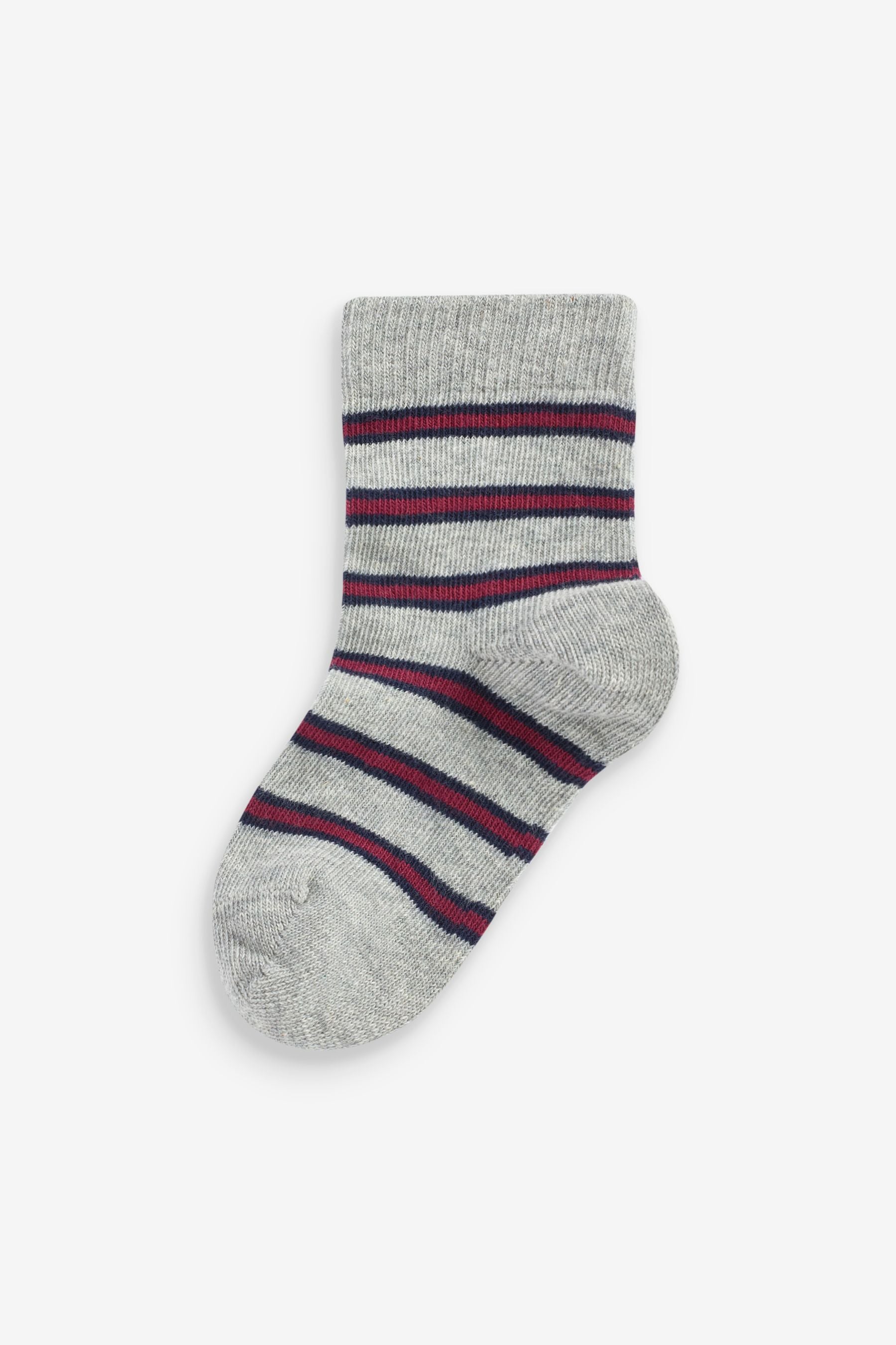 Plum Purple/Grey Stripe 7 Pack Cotton Rich Socks