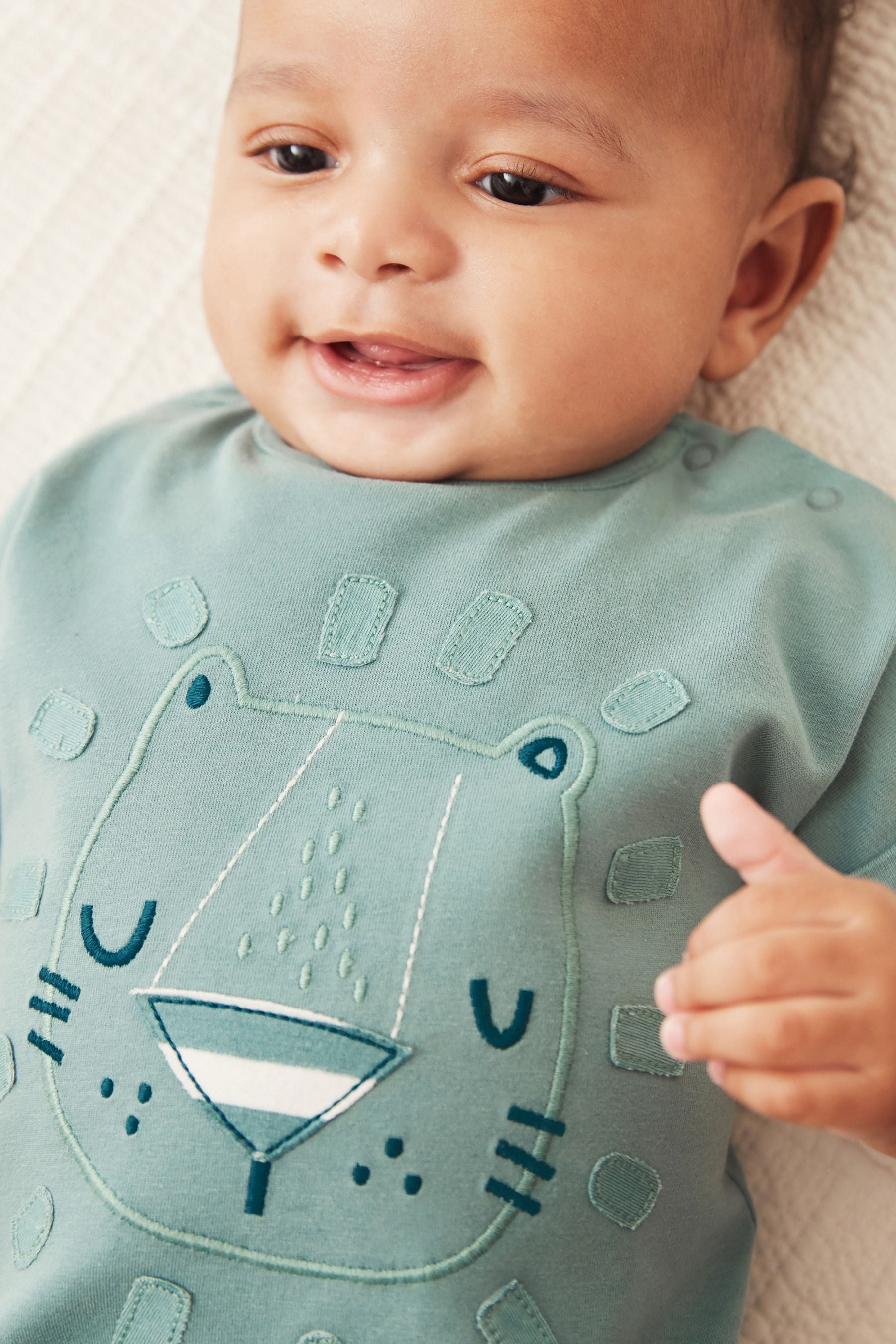 Teal Blue Lion 2 Piece Baby T-Shirt And Leggings Set