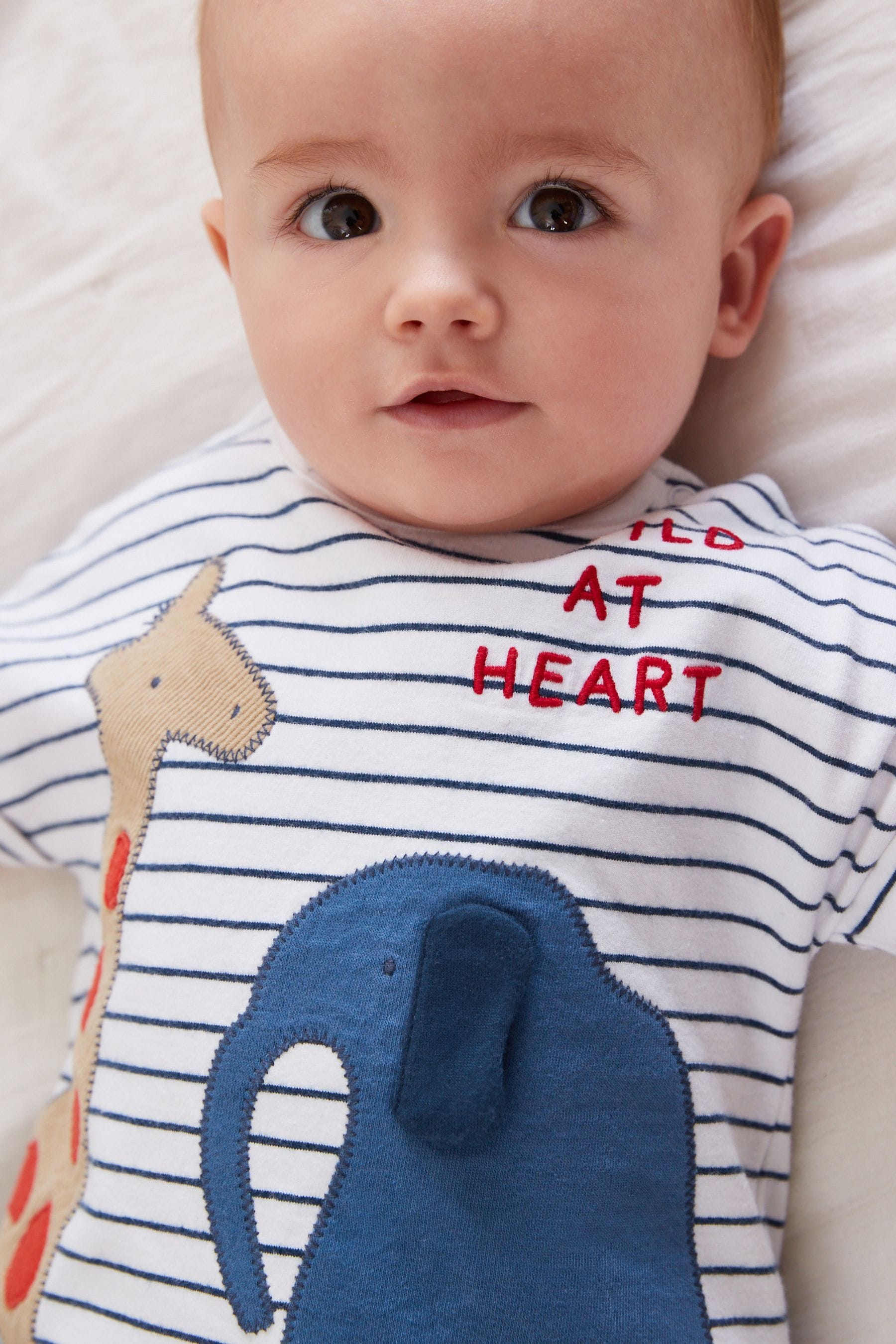 Navy/White Safari Baby T-Shirt And Shorts 2 Piece Set