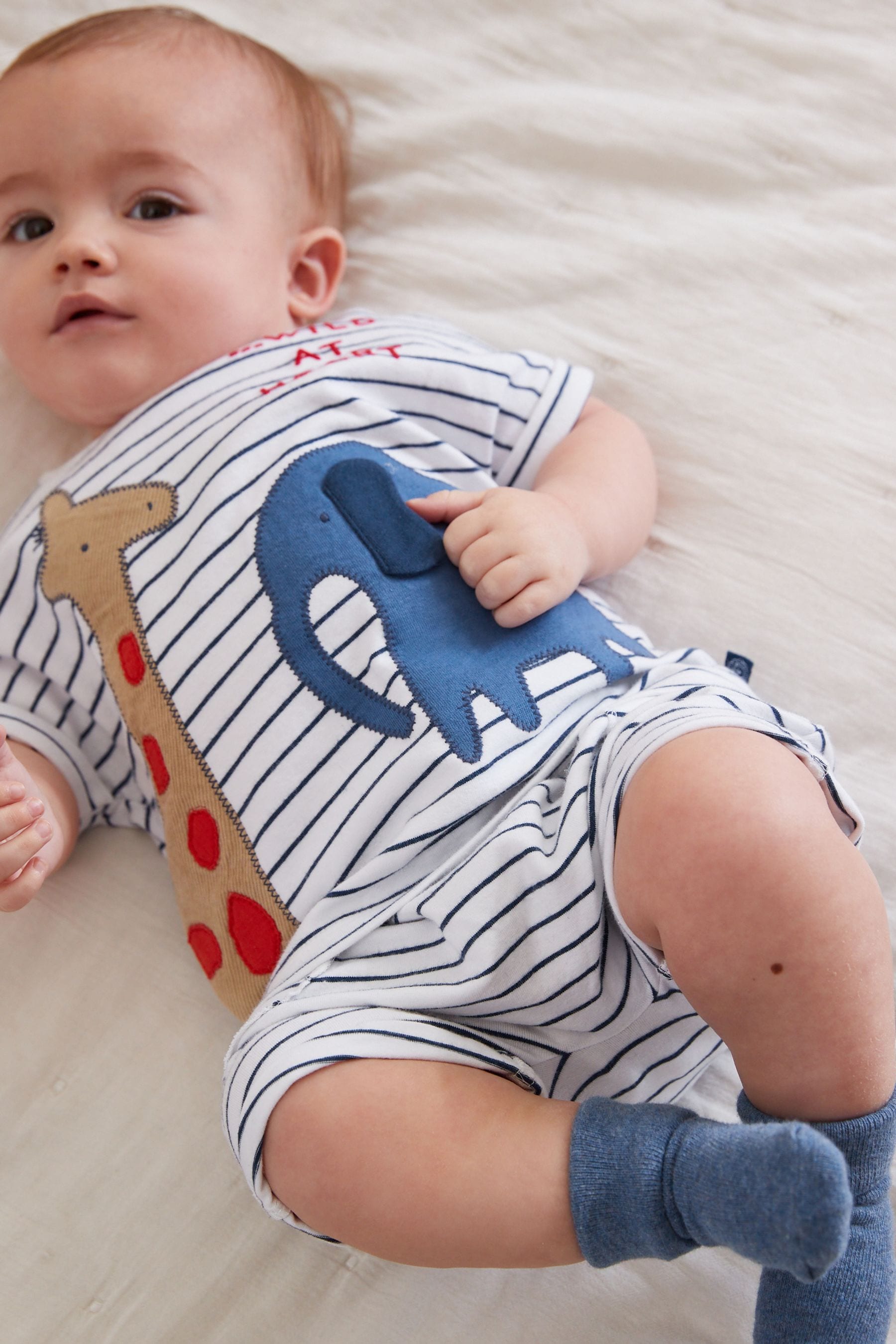 Navy/White Safari Baby T-Shirt And Shorts 2 Piece Set