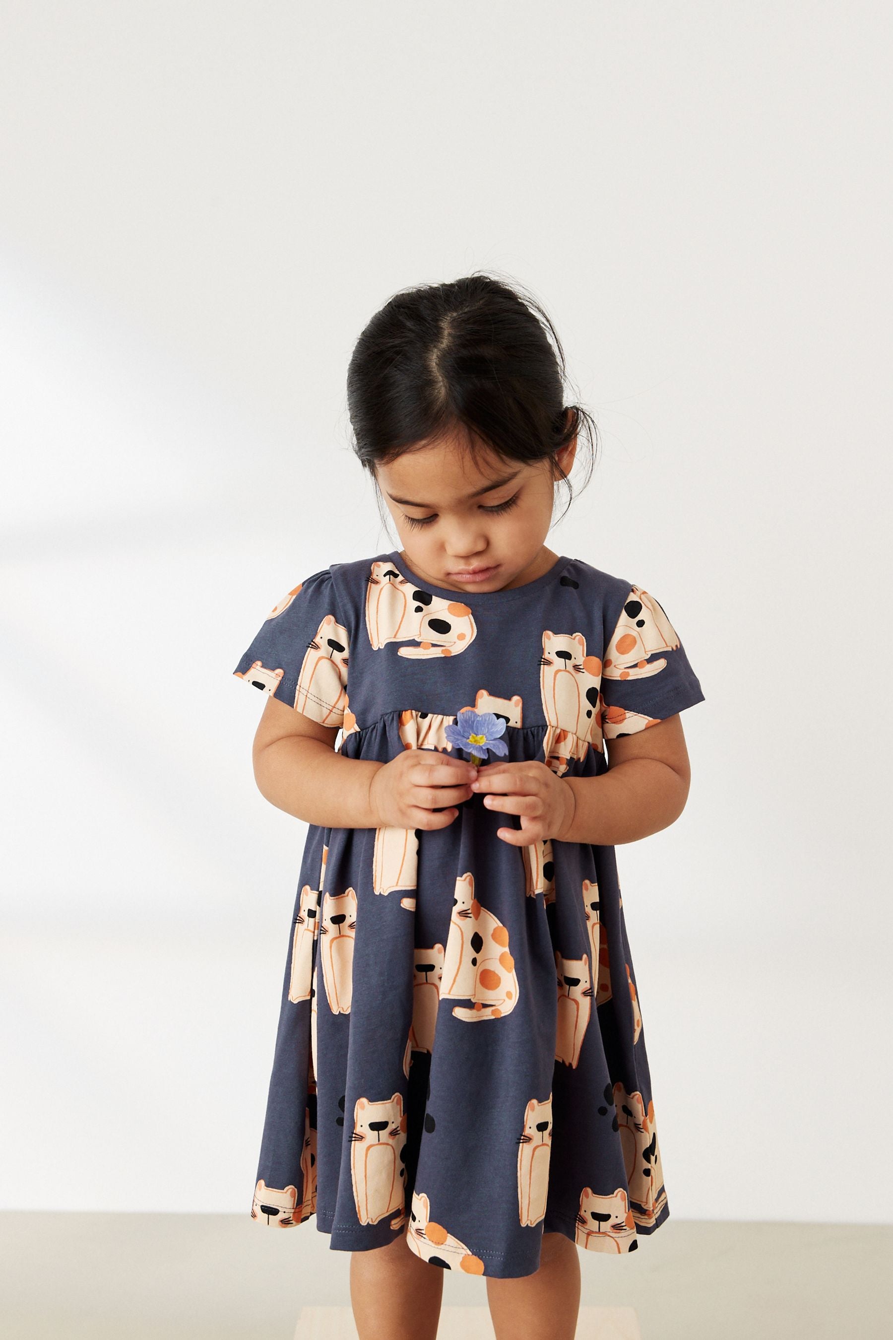 Monochrome Cat Short Sleeve Cotton Jersey Dress (3mths-7yrs)