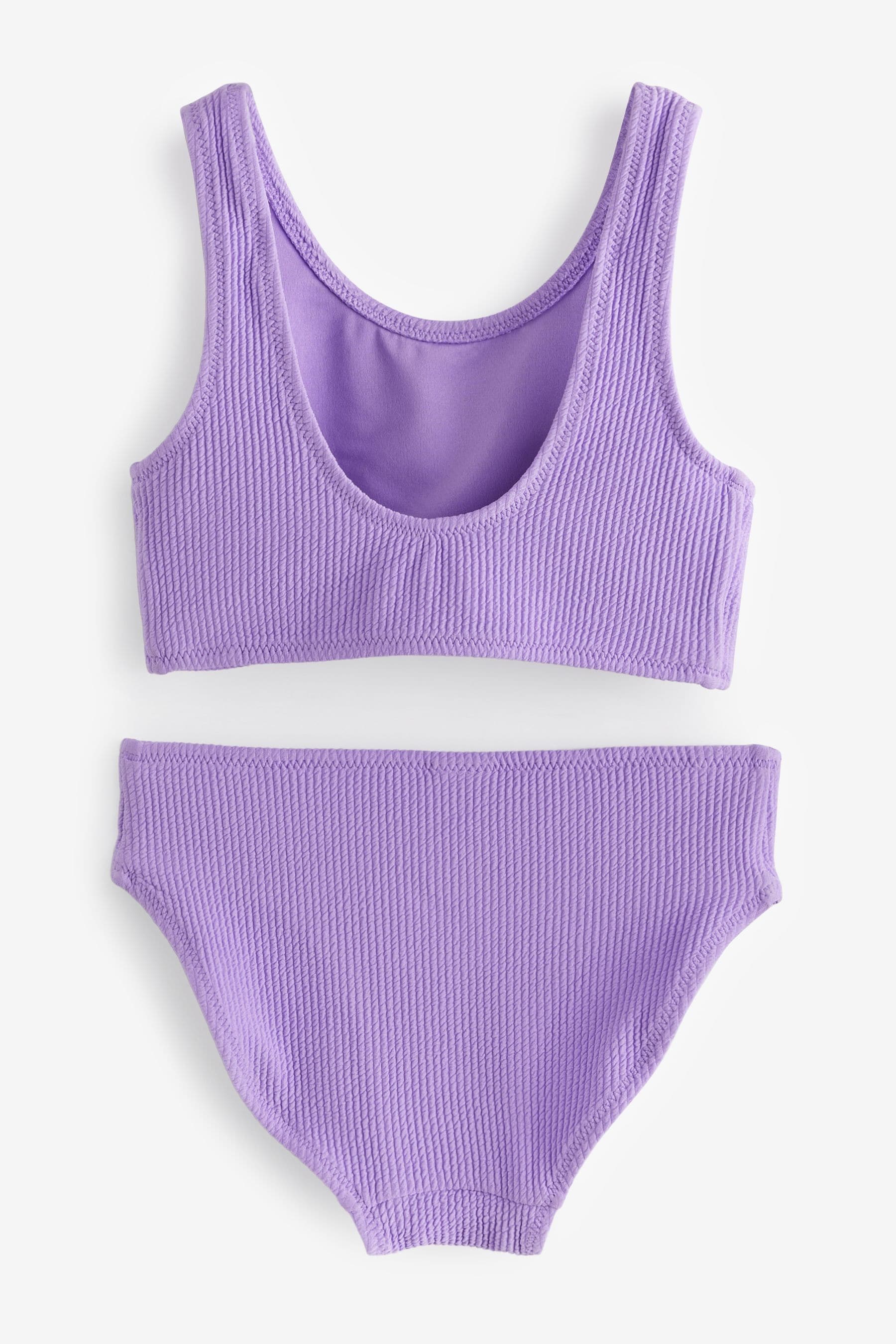 Purple Textured Crinkle Bikini Set