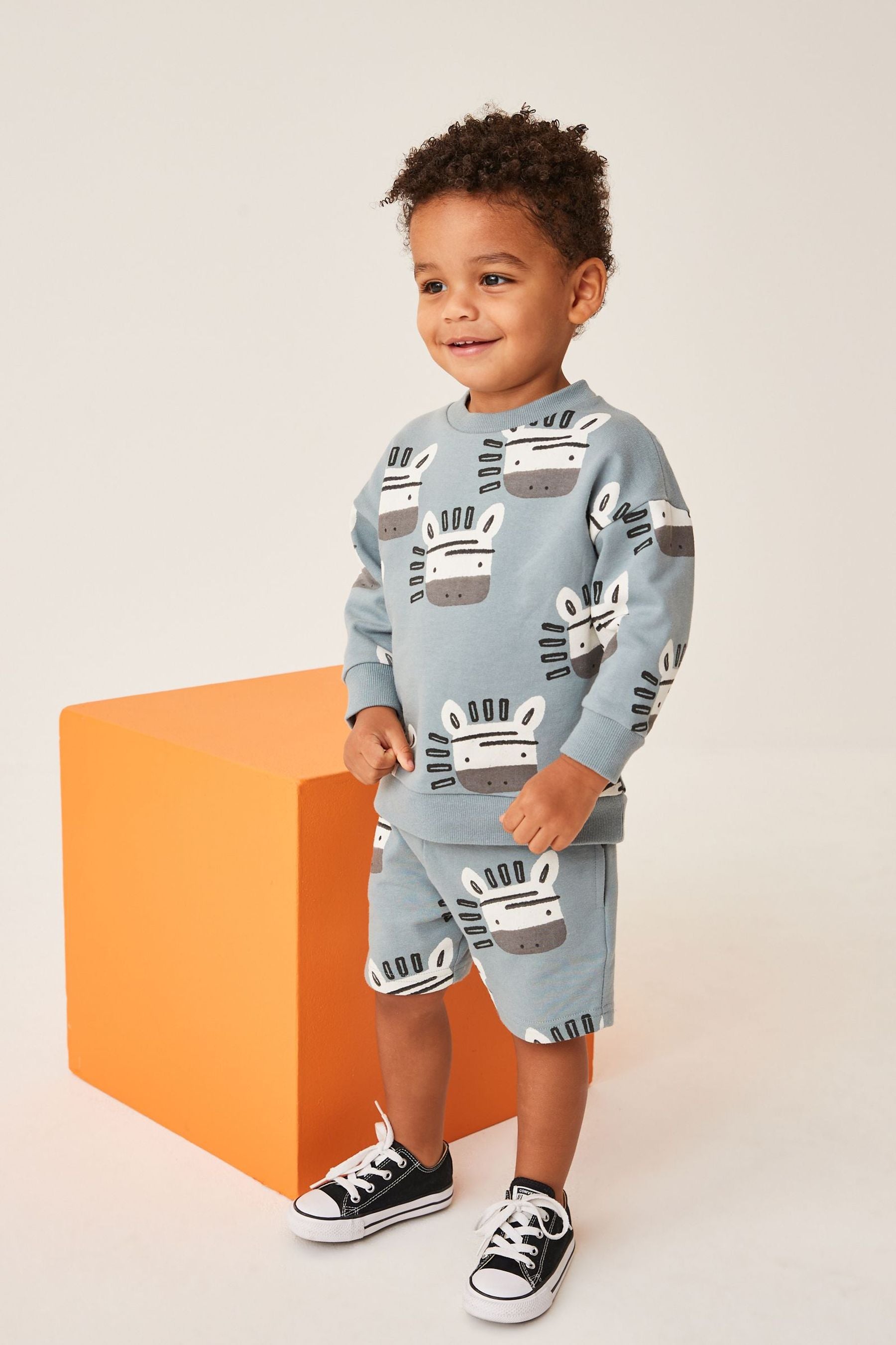 Blue Zebra All Over Print Sweatshirt and Shorts Set (3mths-7yrs)