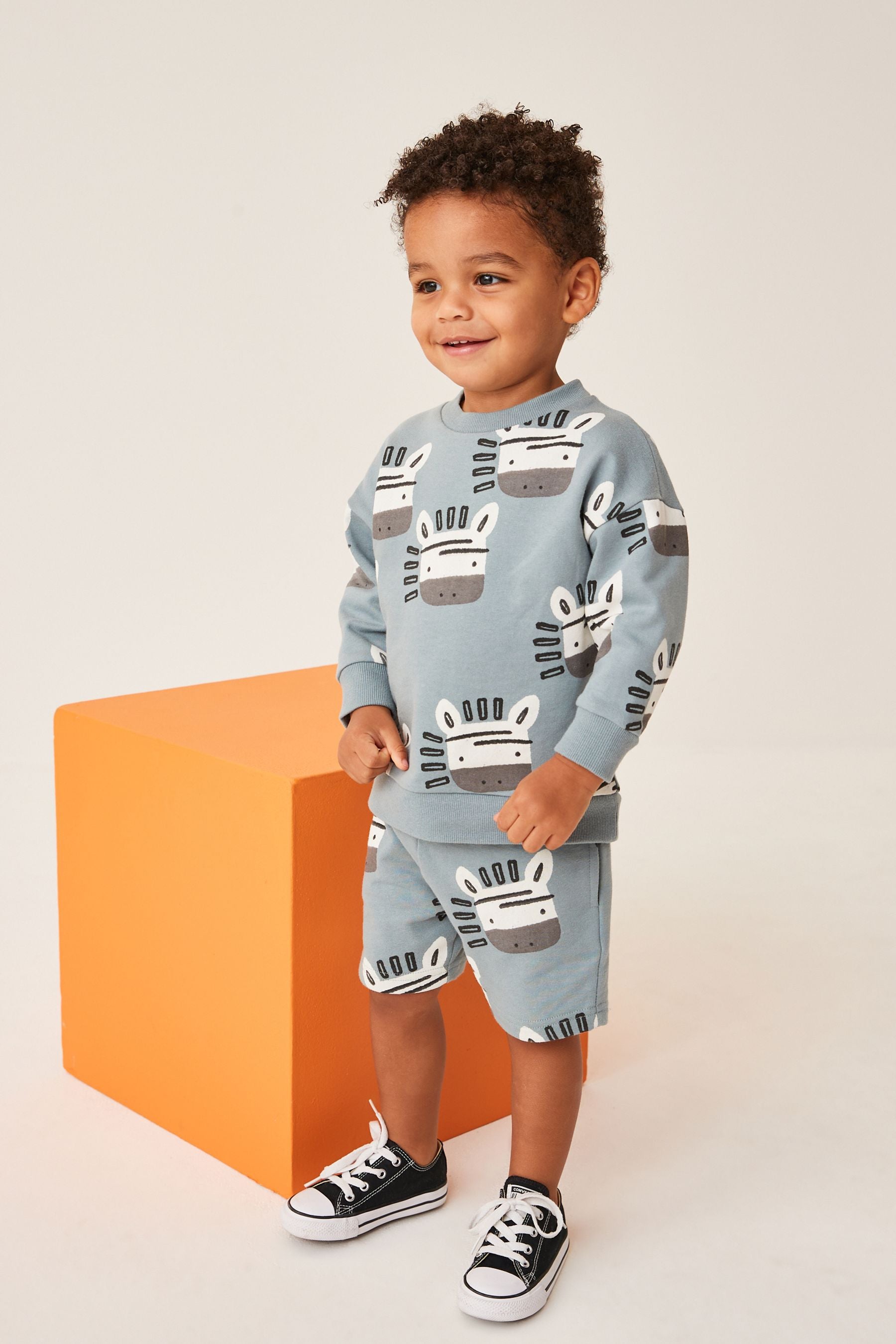 Blue Zebra All Over Print Sweatshirt and Shorts Set (3mths-7yrs)