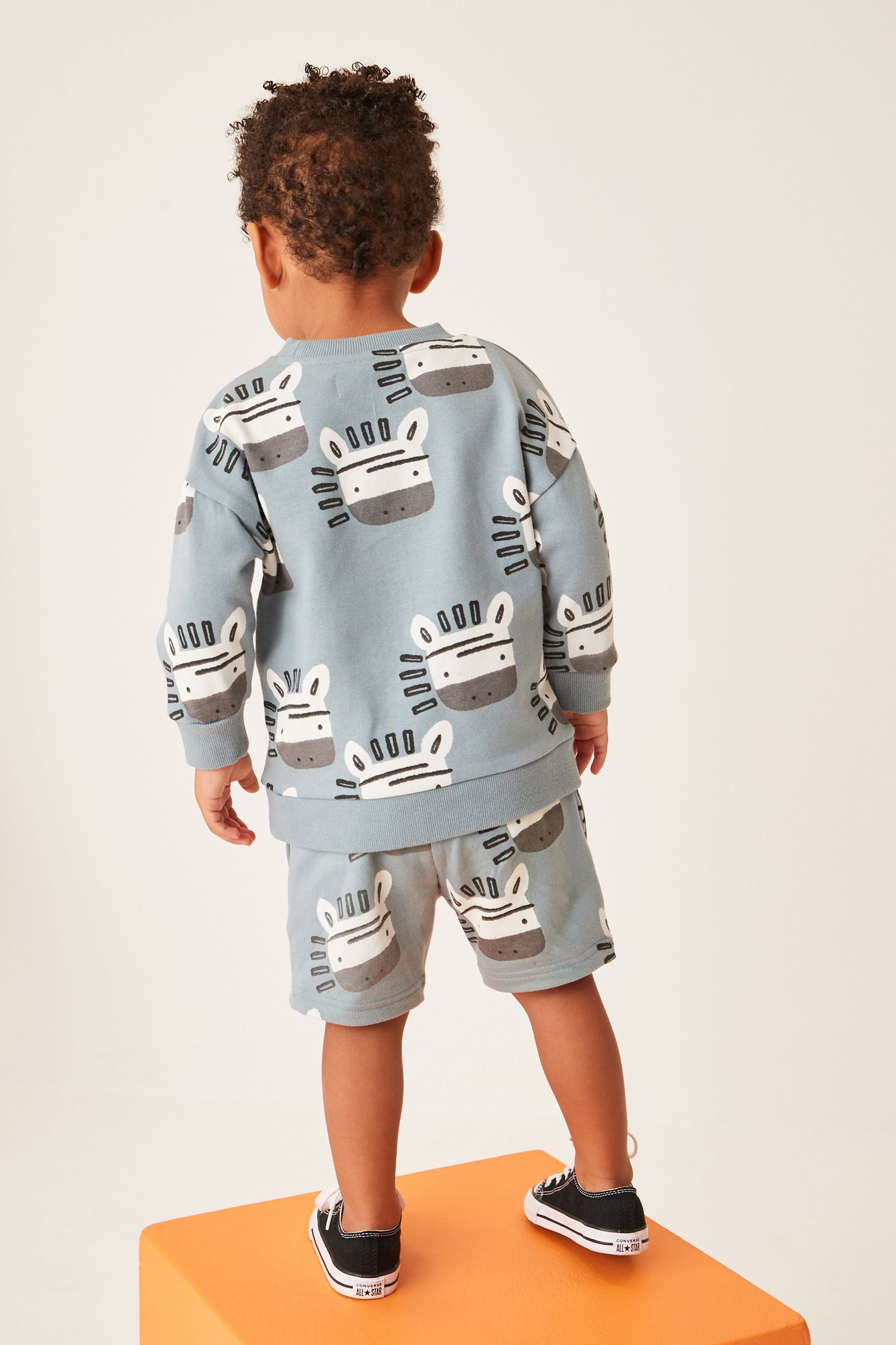 Blue Zebra All Over Print Sweatshirt and Shorts Set (3mths-7yrs)