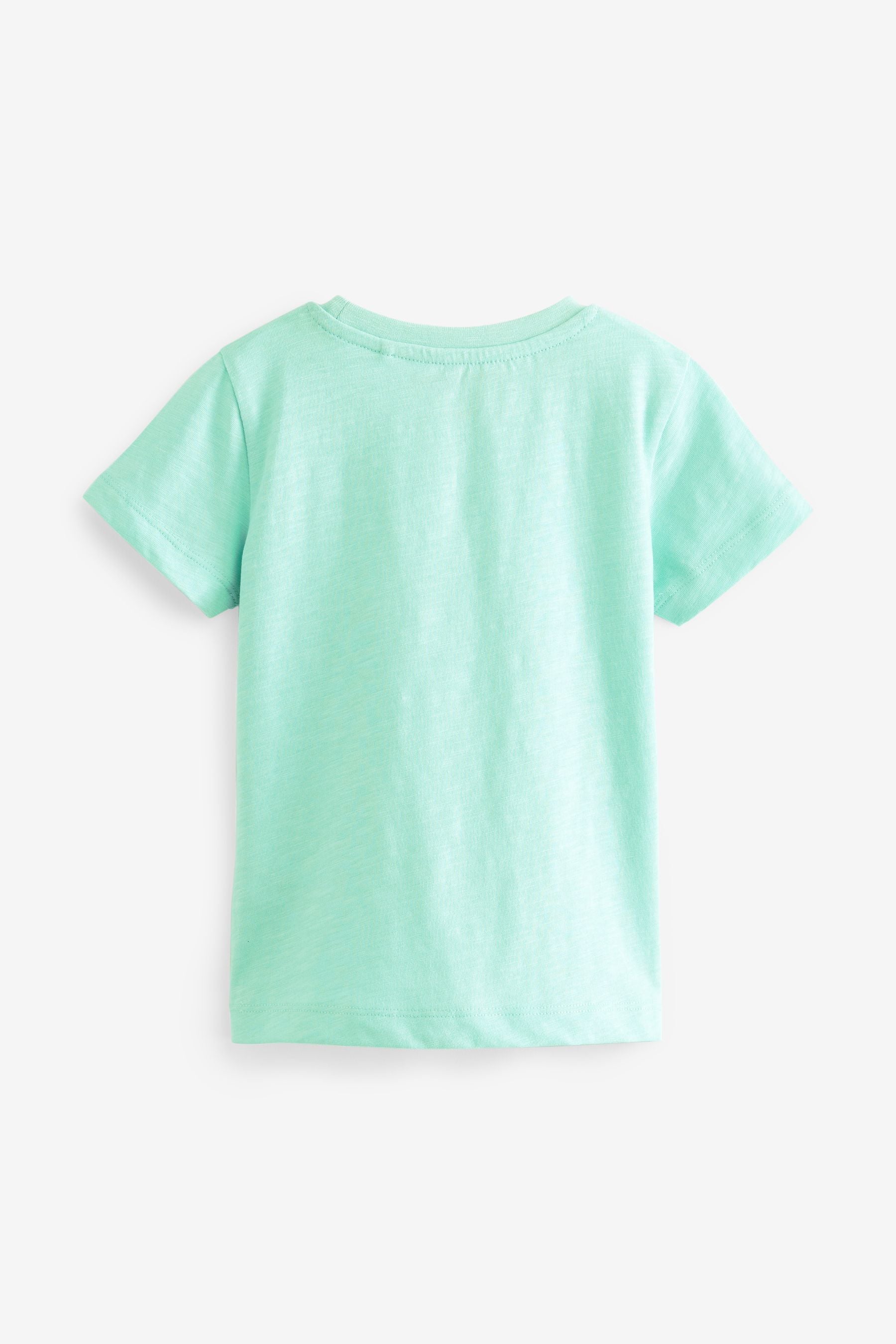 Mint Green Short Sleeve Plain T-Shirt (3mths-7yrs)