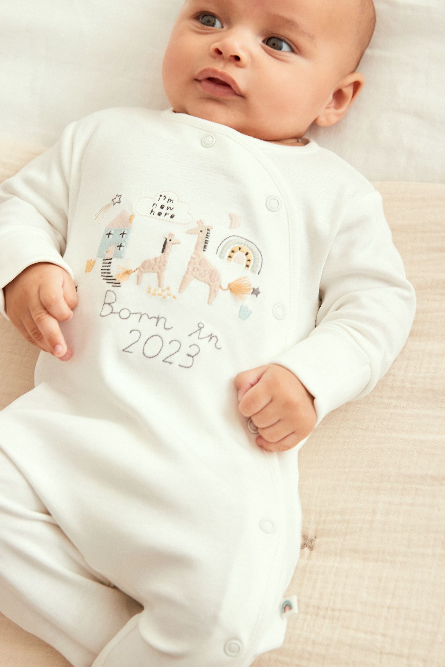 White/Grey Born In 2023 Single Sleepsuit (0-9mths)